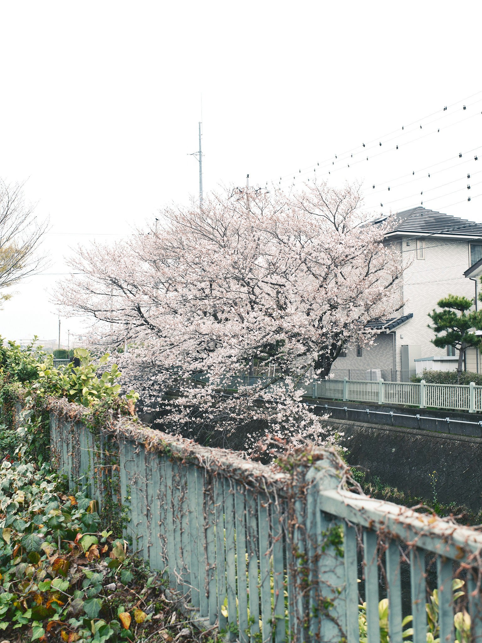 photo-oCwxEgL1HwSKCueI28W4-image