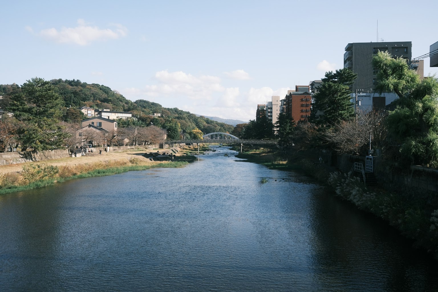 Scena di fiume serena con un ponte circondato da verde e edifici