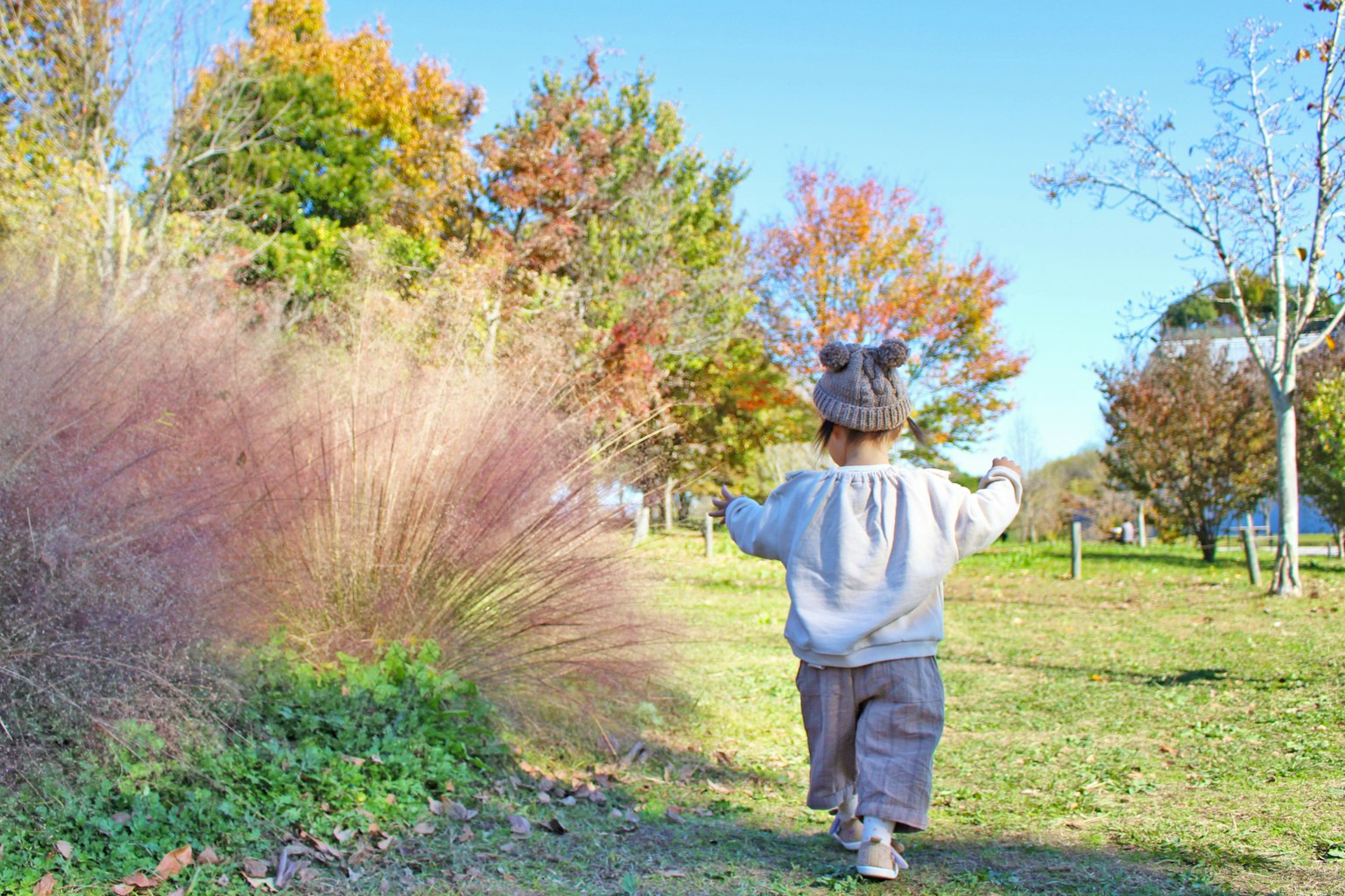 Một đứa trẻ đang đi bộ trong công viên có lá mùa thu xung quanh