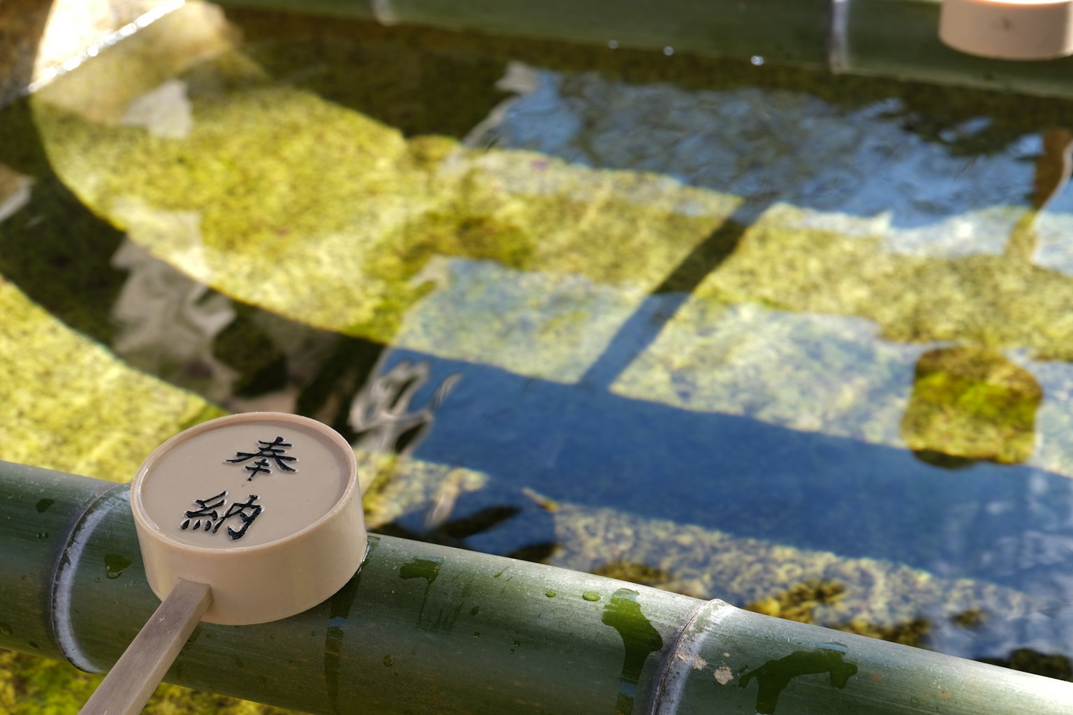 Cuchara de bambú con reflejos en la superficie del estanque
