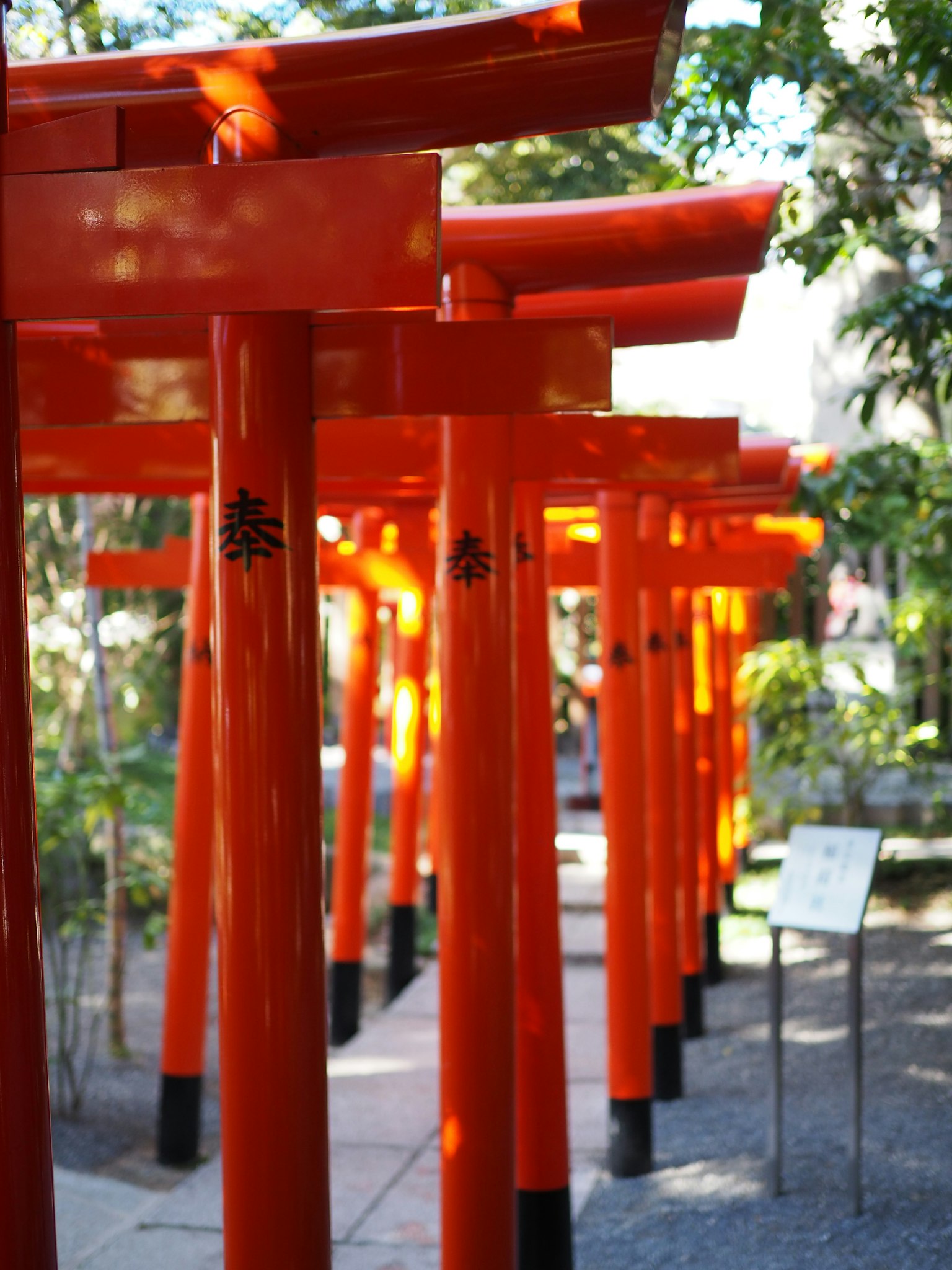 Pemandangan taman tenang dengan deretan gerbang torii merah cerah