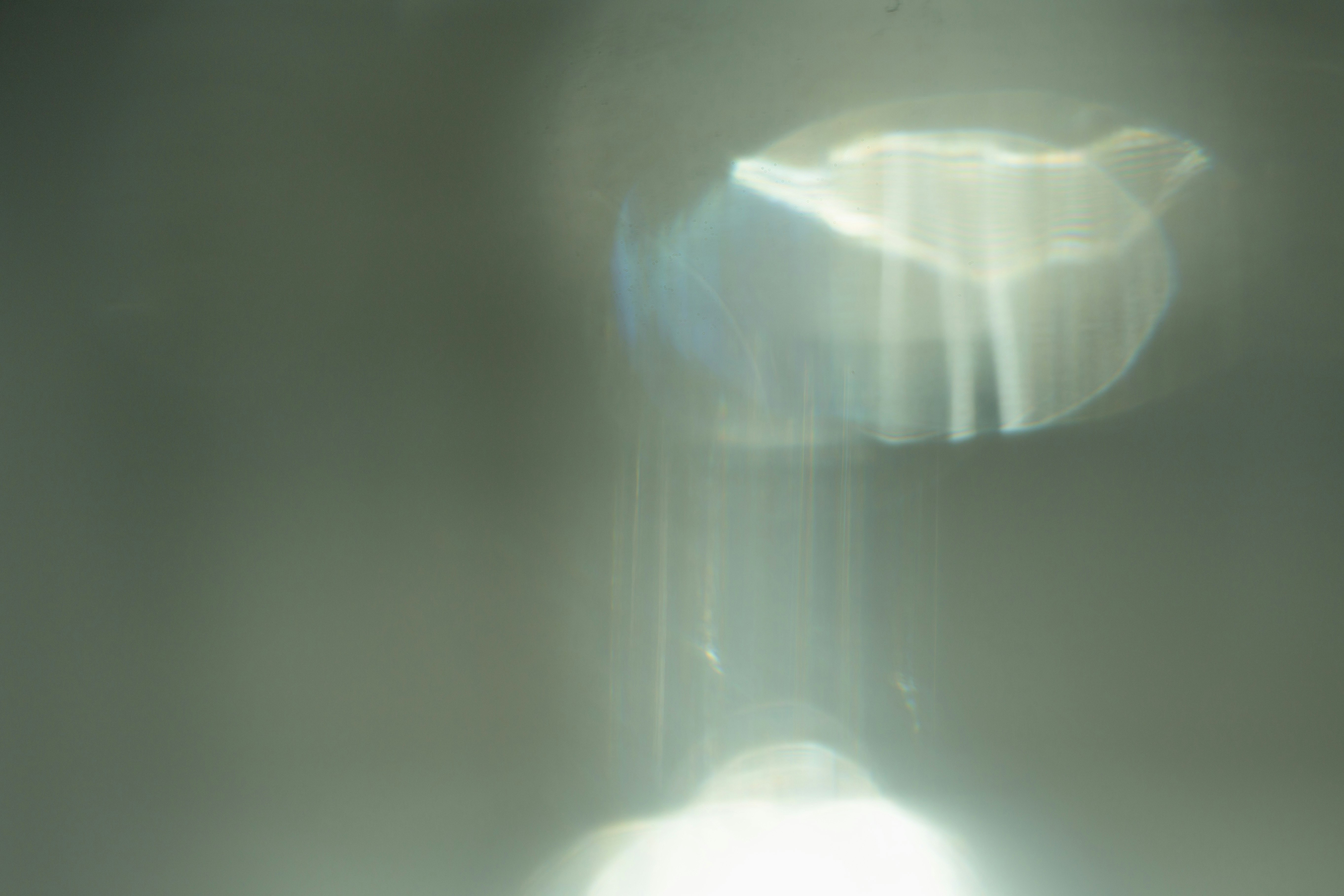 lumière circulaire floue et lumineuse dans une brume