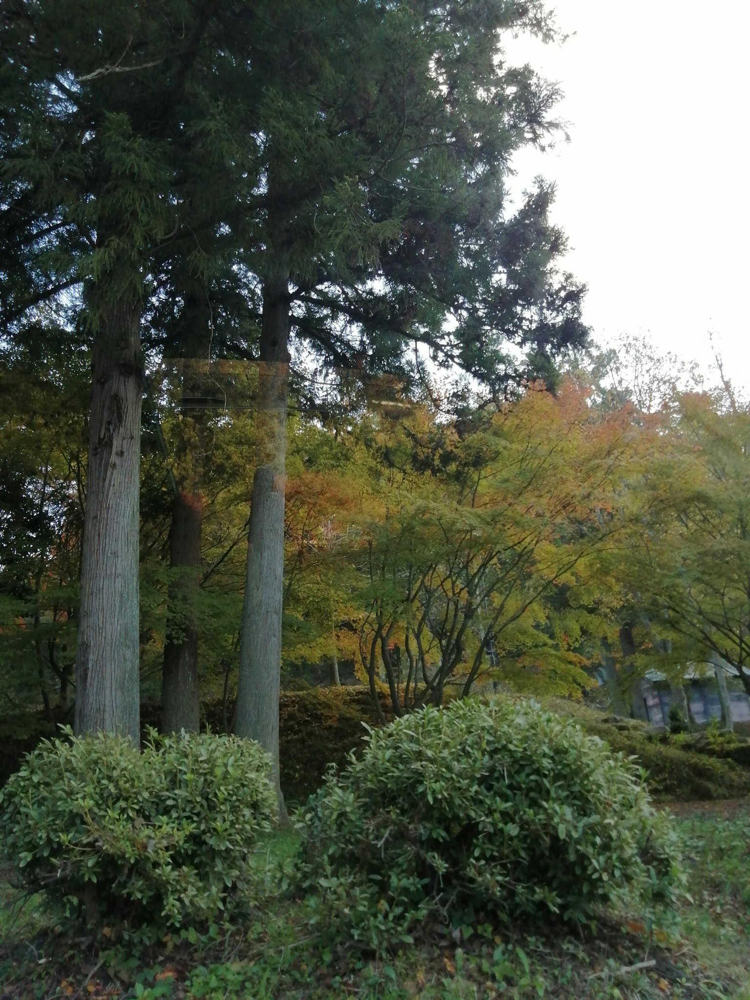 photo-oENs7RSlkMnHhRrD2znd-image