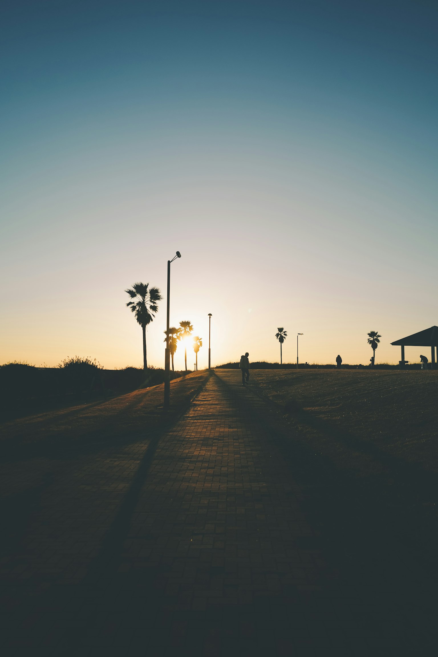 Coastal path with palm trees silhouetted against the sunset