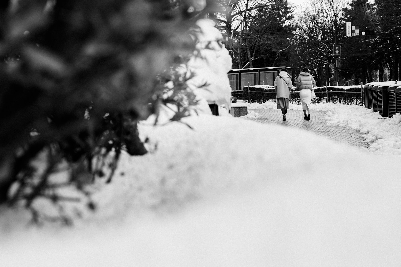 Immagine in bianco e nero di due persone che camminano su un sentiero innevato