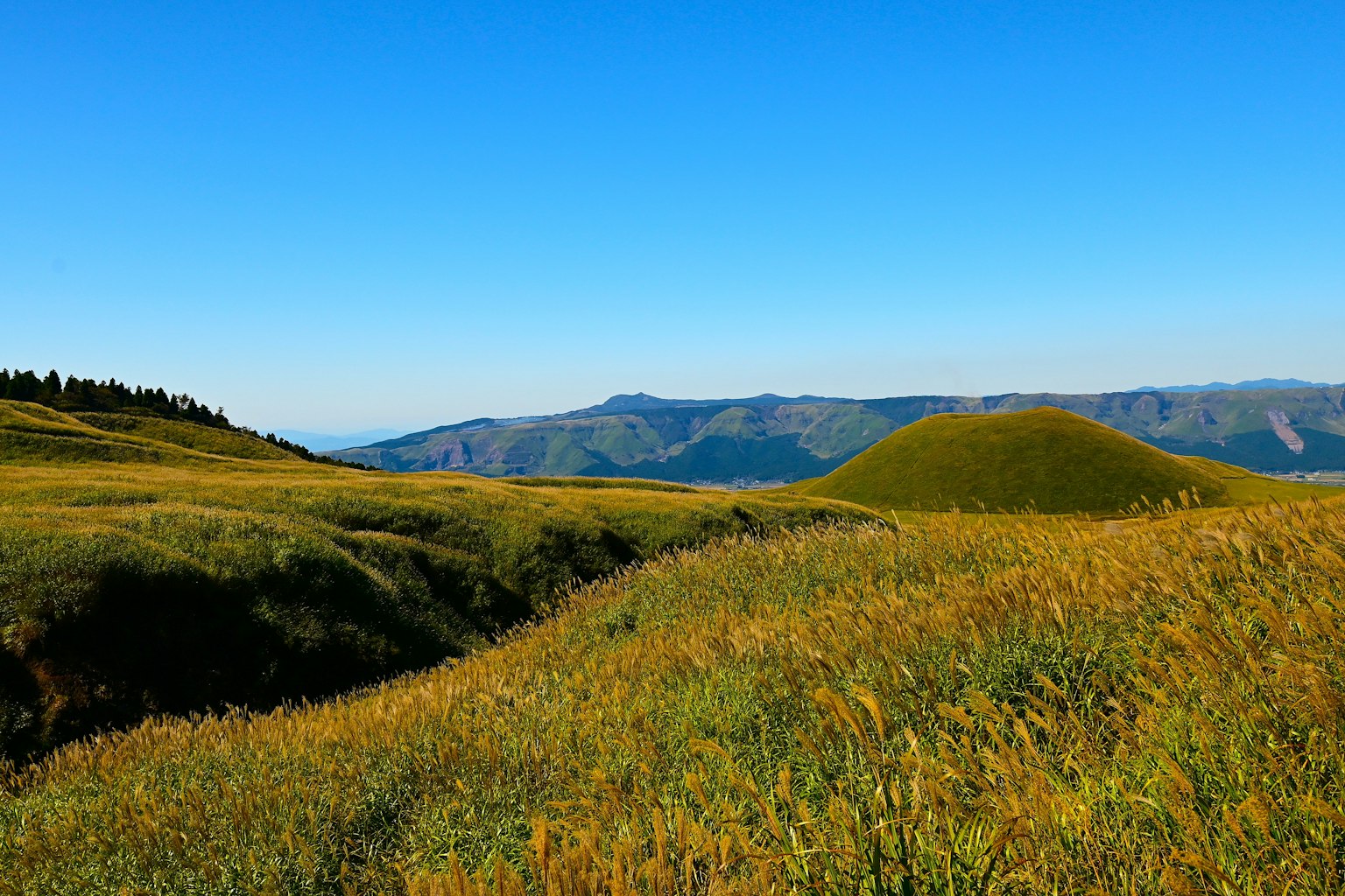 Landschaft mit grünen Hügeln und grasbewachsenen Feldern unter blauem Himmel