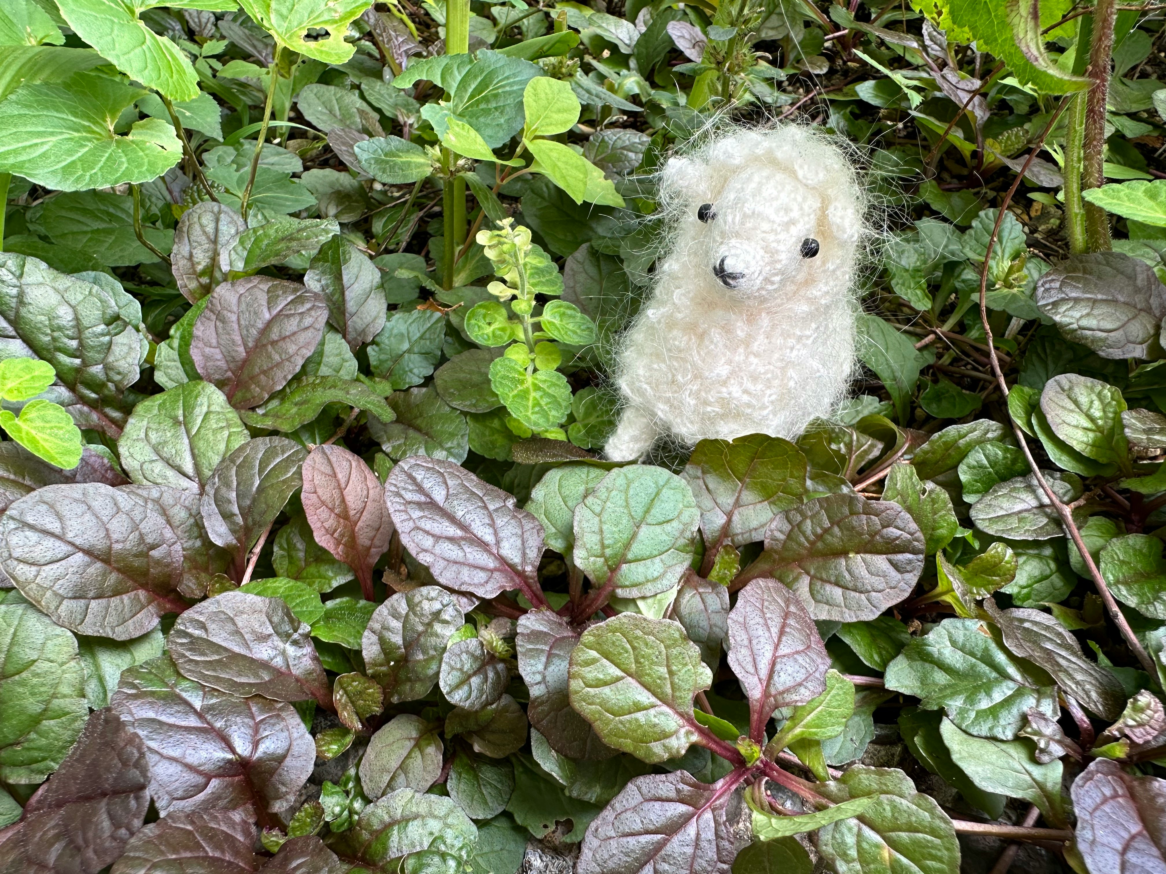 草むらに置かれた羊のあみぐるみぬいぐるみ