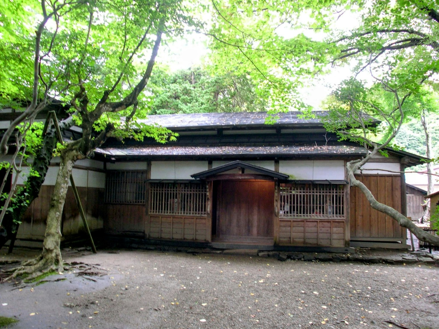 被绿色树木环绕的传统日本木屋