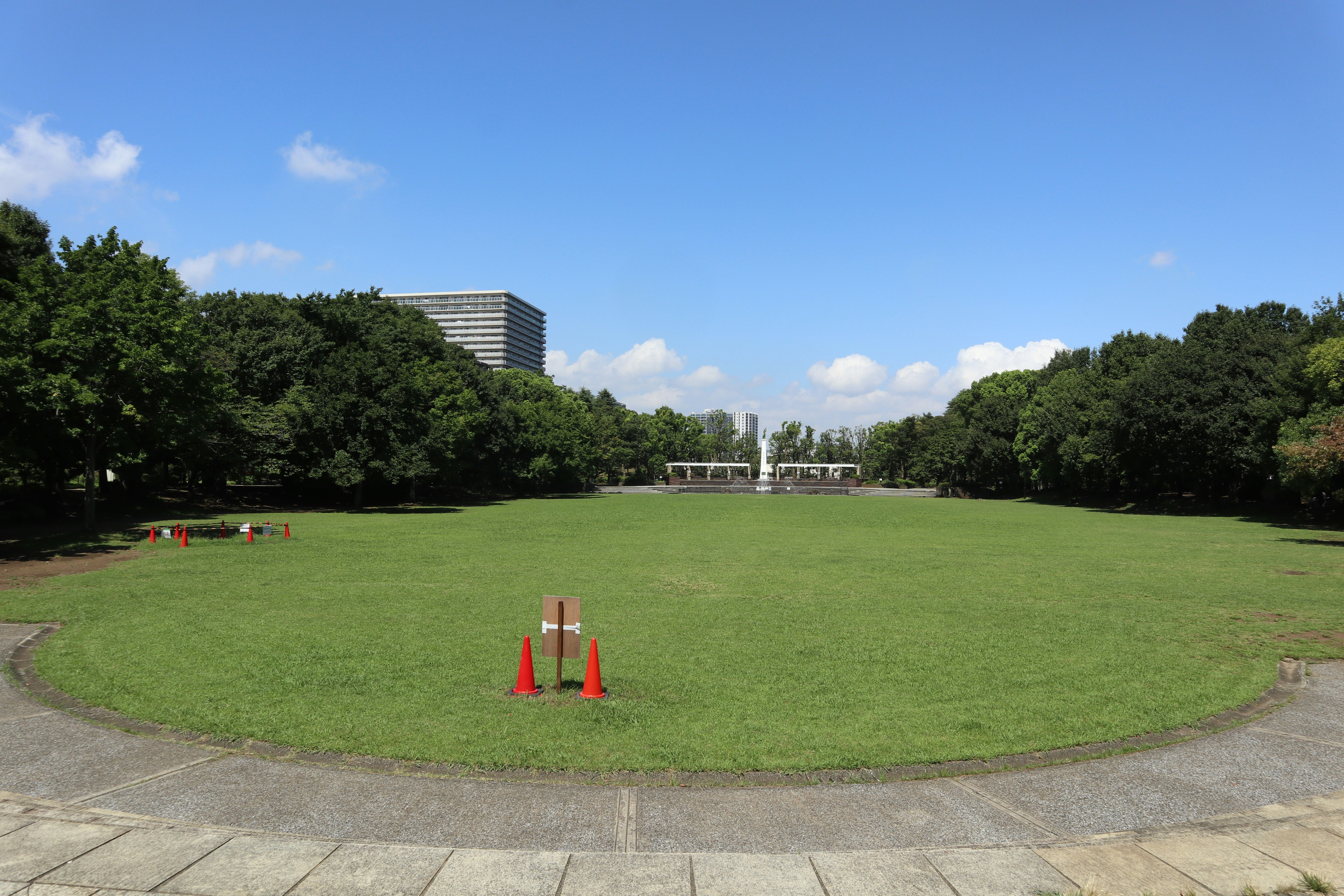 芝生の広場と並ぶ木々、遠景の近代的な建物
