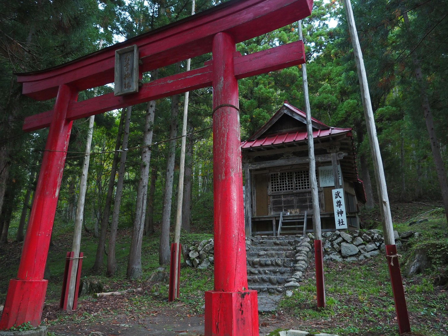 Una puerta torii roja y un pequeño santuario en un bosque