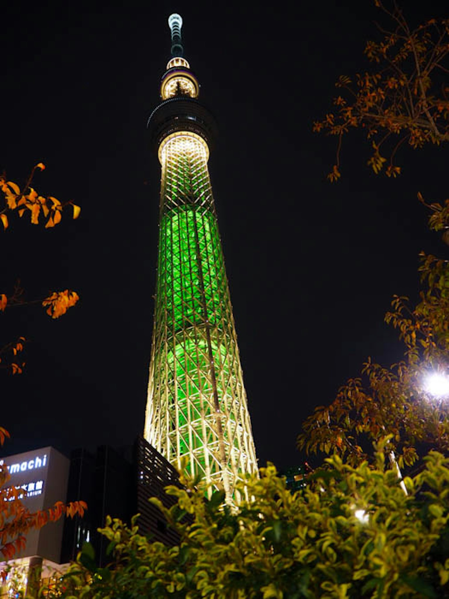 Tokyo Skytree illuminé la nuit avec des lumières vertes et un feuillage environnant