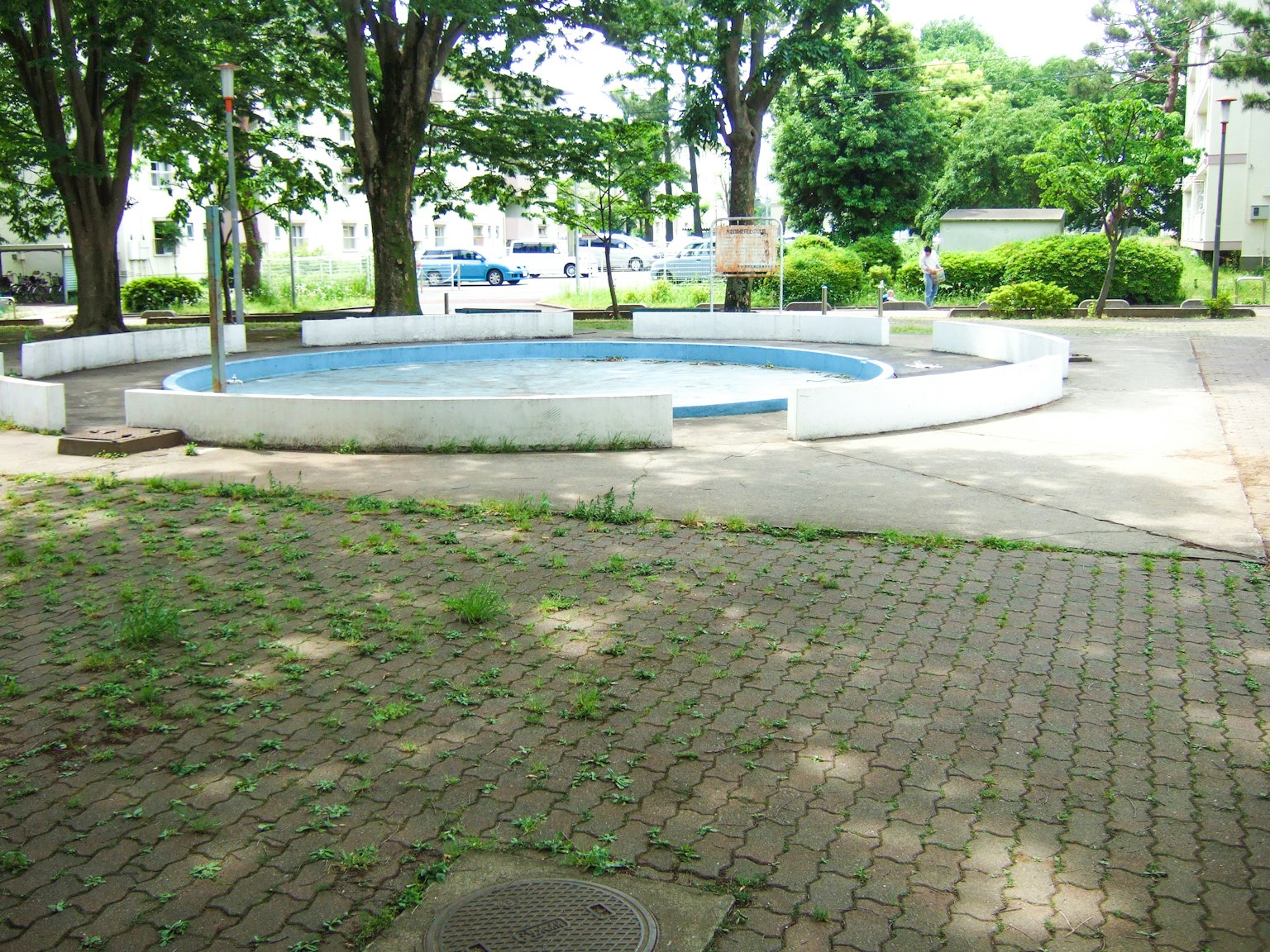 公園裡的圓形游泳池，周圍環繞著綠樹