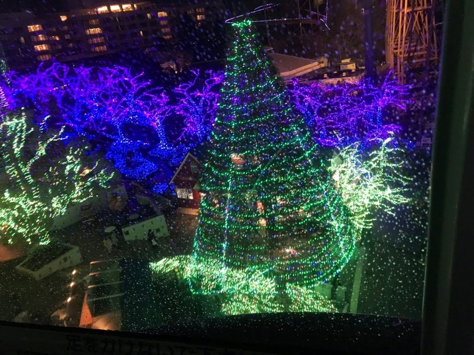 夜晚被紫色燈光和樹木環繞的綠色聖誕樹