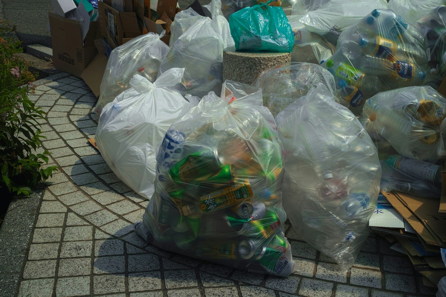 透明垃圾袋装满可回收废物排列在小路上