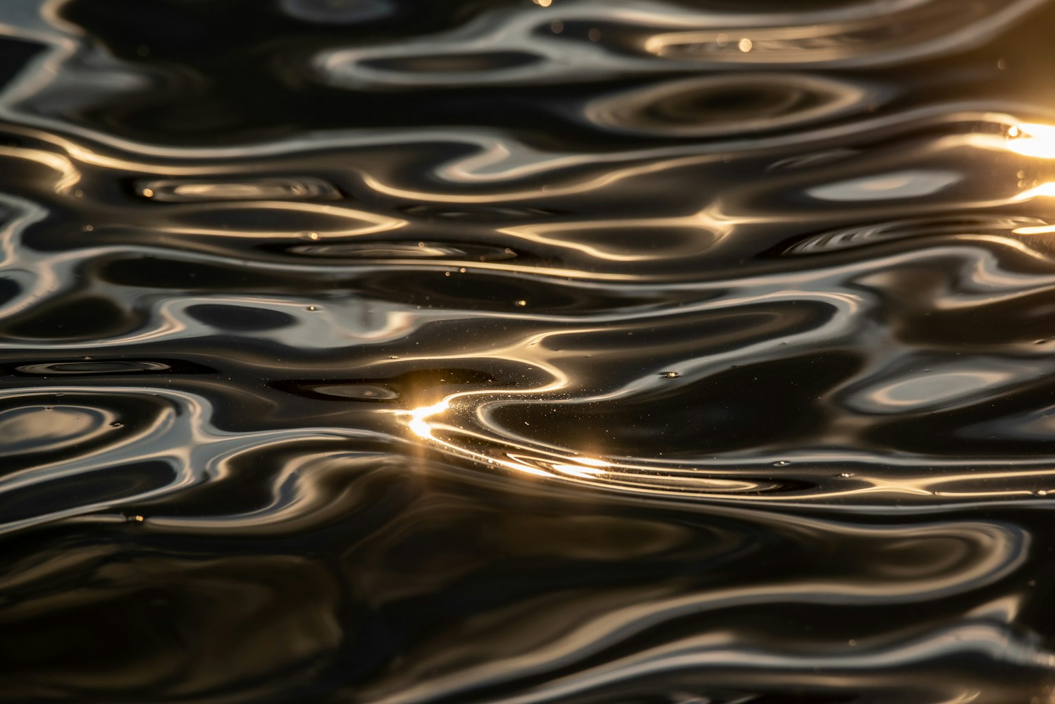 Beaux motifs de réflexion de la lumière et de vagues à la surface de l'eau