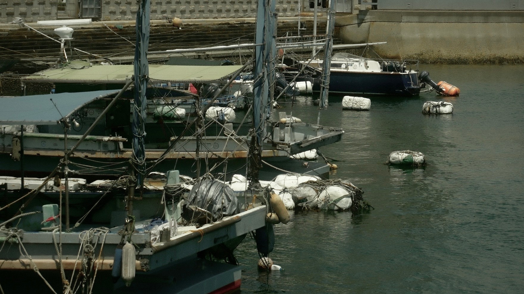 係留された漁船と浮かぶいかだのある港の水面