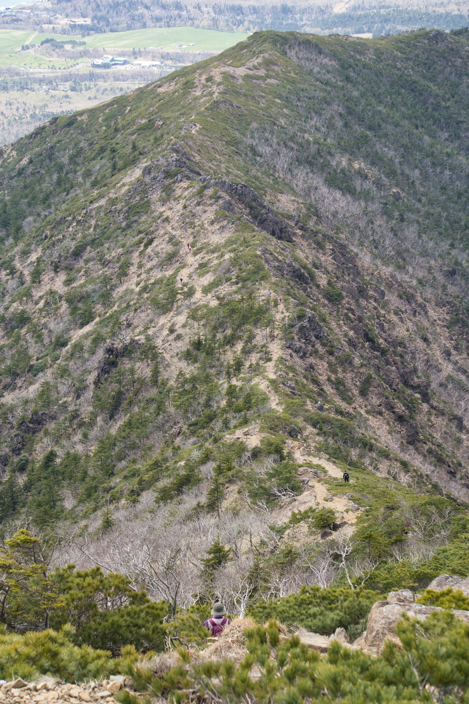 Mountain ridge with greenery and a hiker