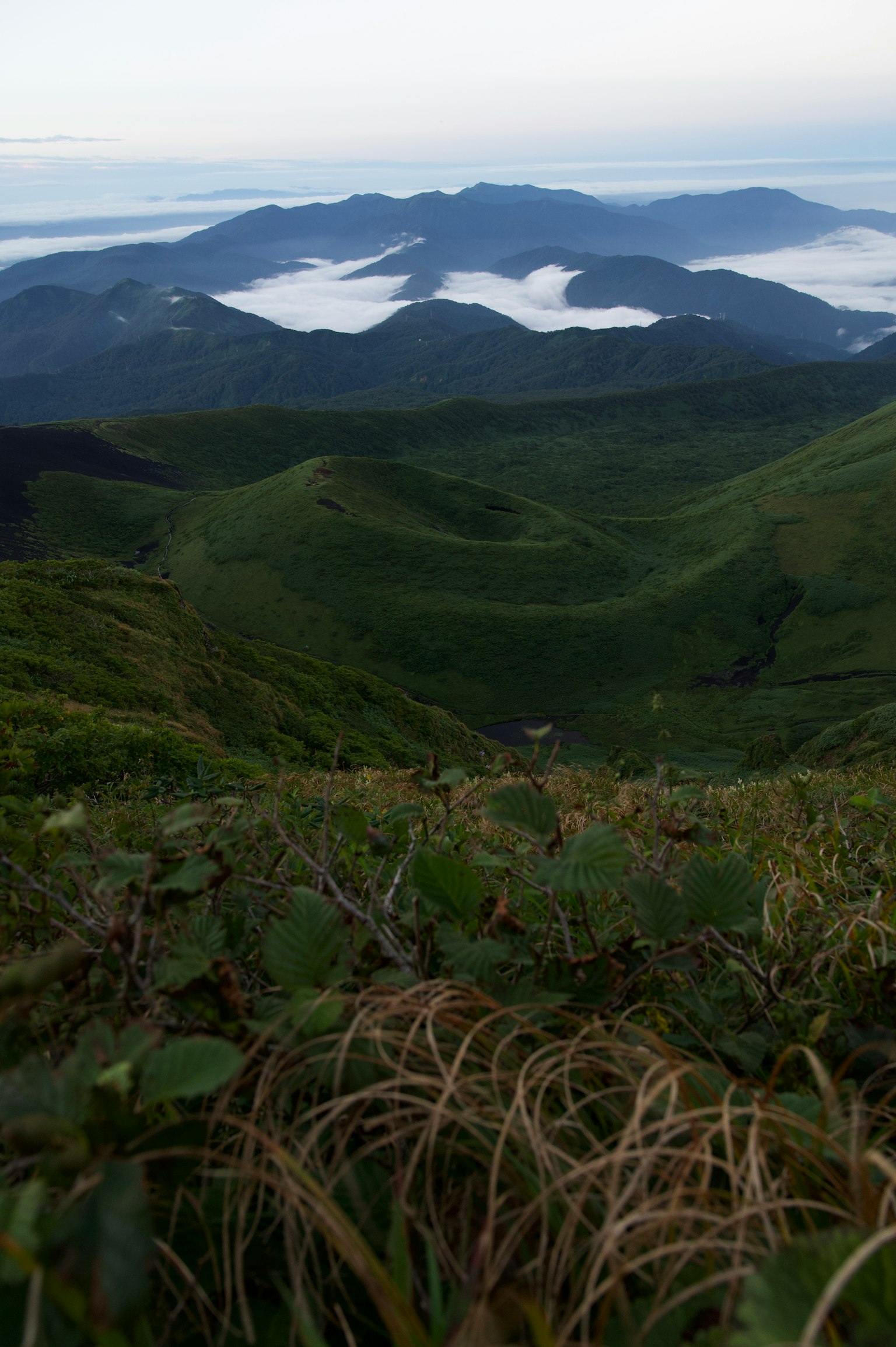 Lush green mountains with a sea of clouds in the background