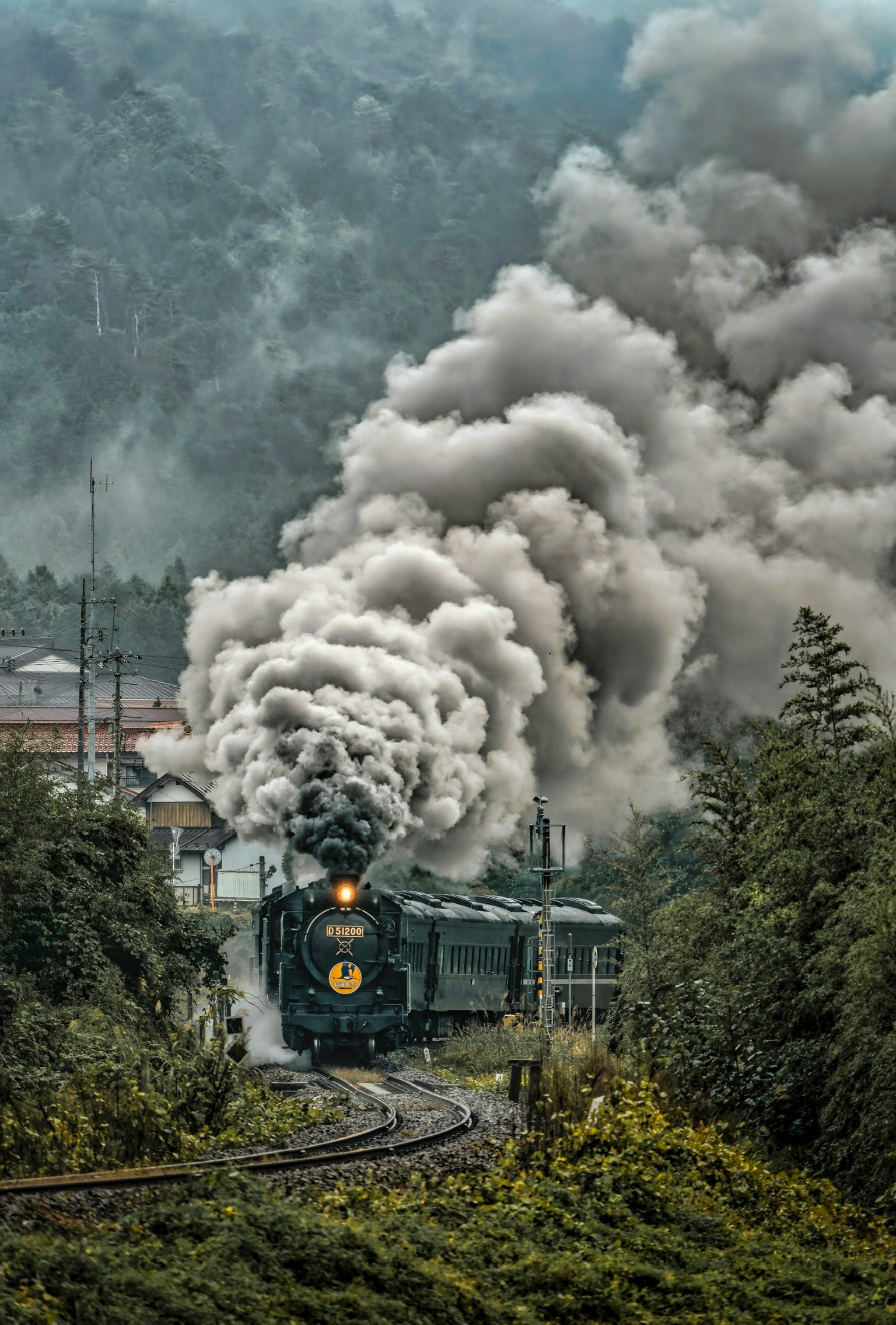 煙を上げて走る蒸気機関車と緑の風景