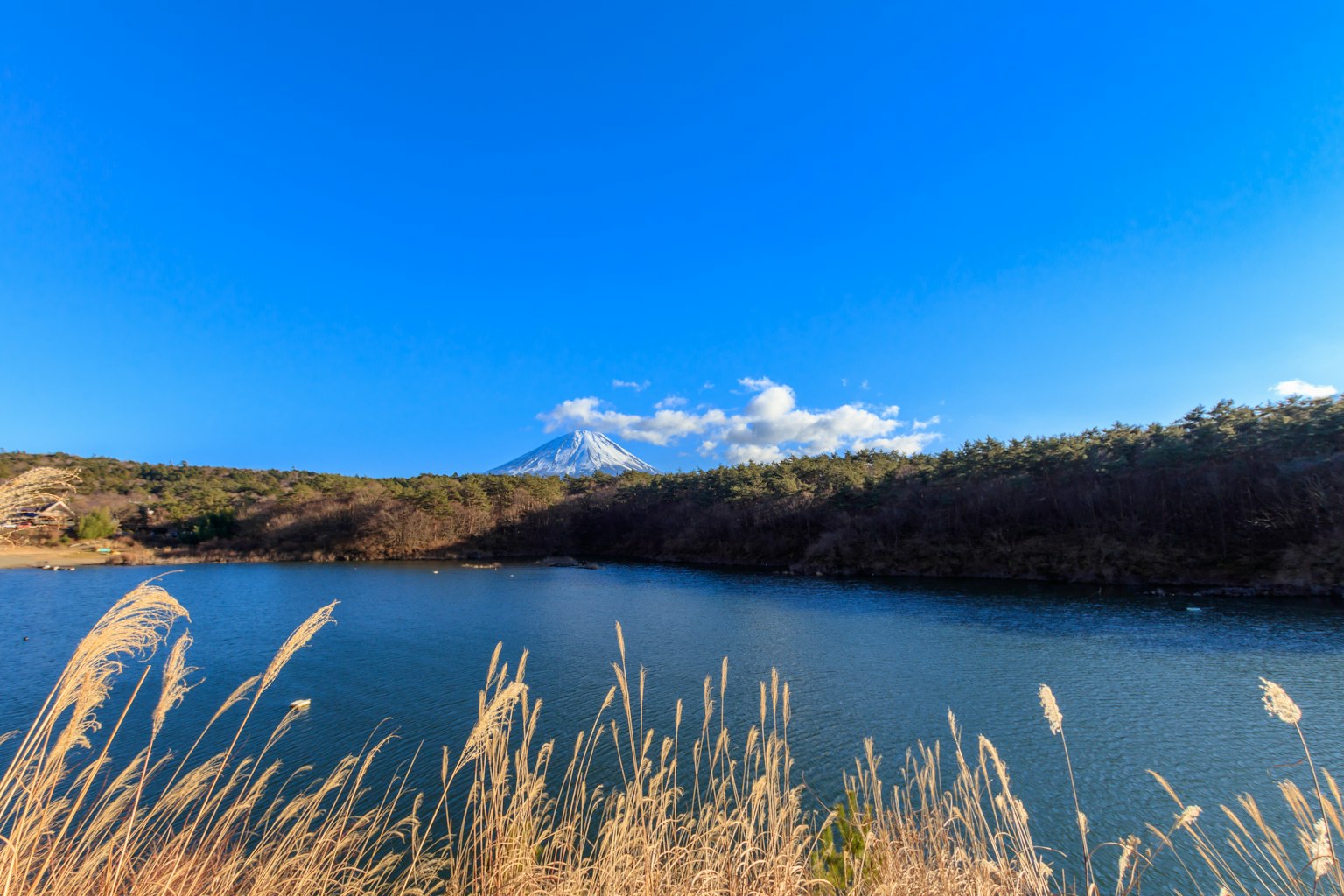 Paysage avec un lac sous un ciel bleu et des montagnes en arrière-plan avec de l'herbe haute au premier plan