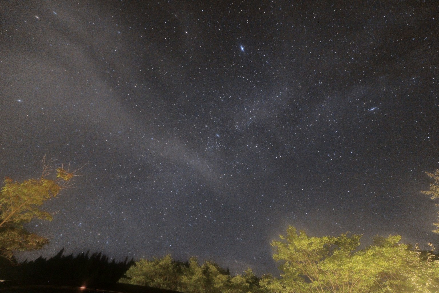 星空与树木的轮廓
