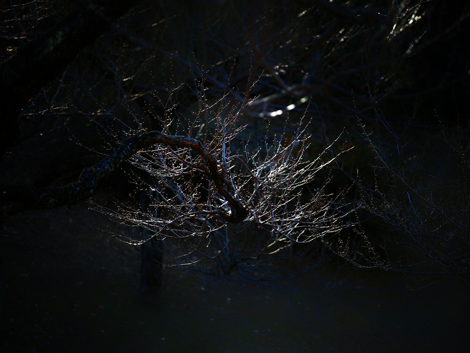 photo-oMmGjJ3nUWBQu0apBh8D-image