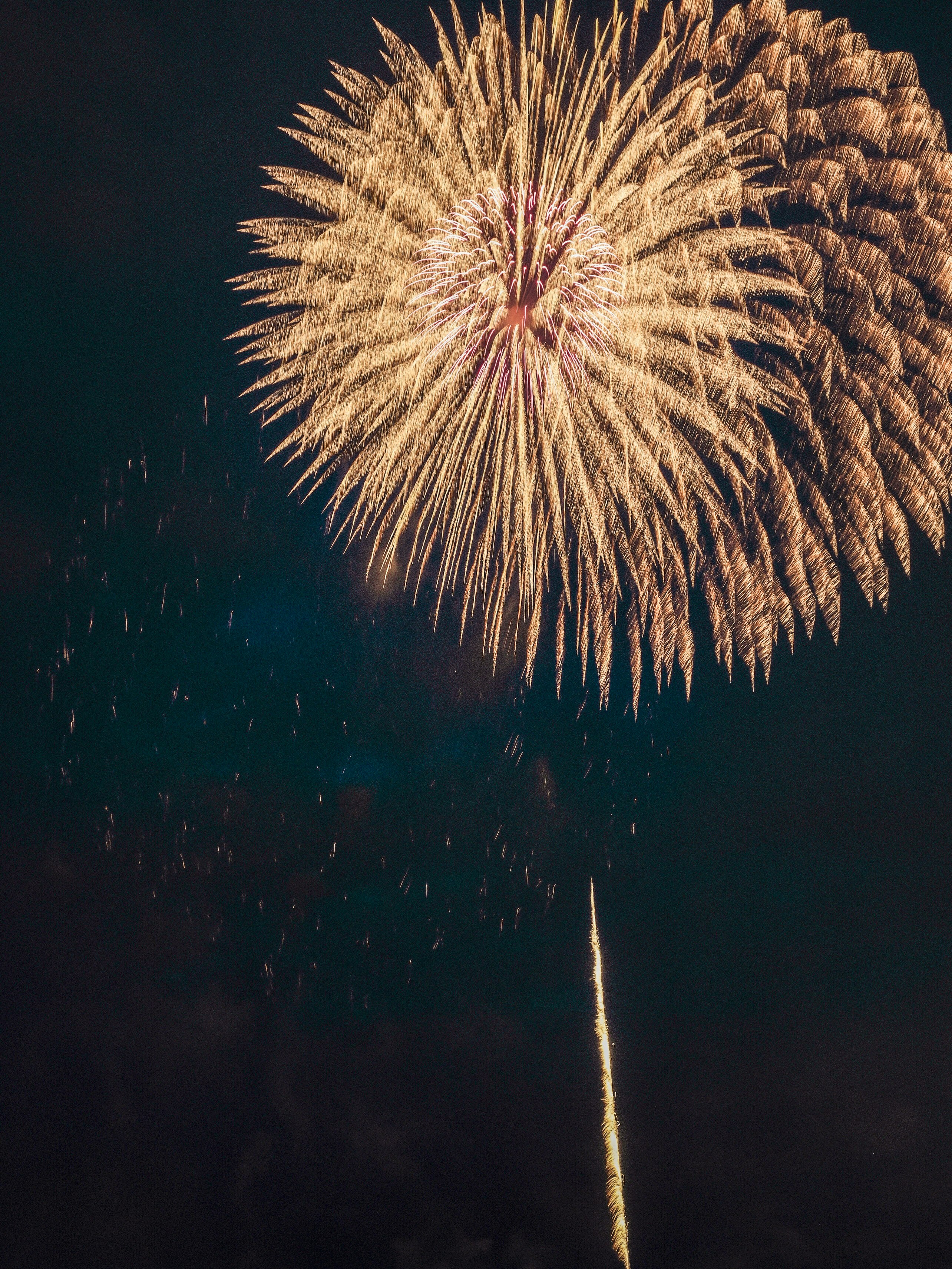 夜空に咲く大きな花火