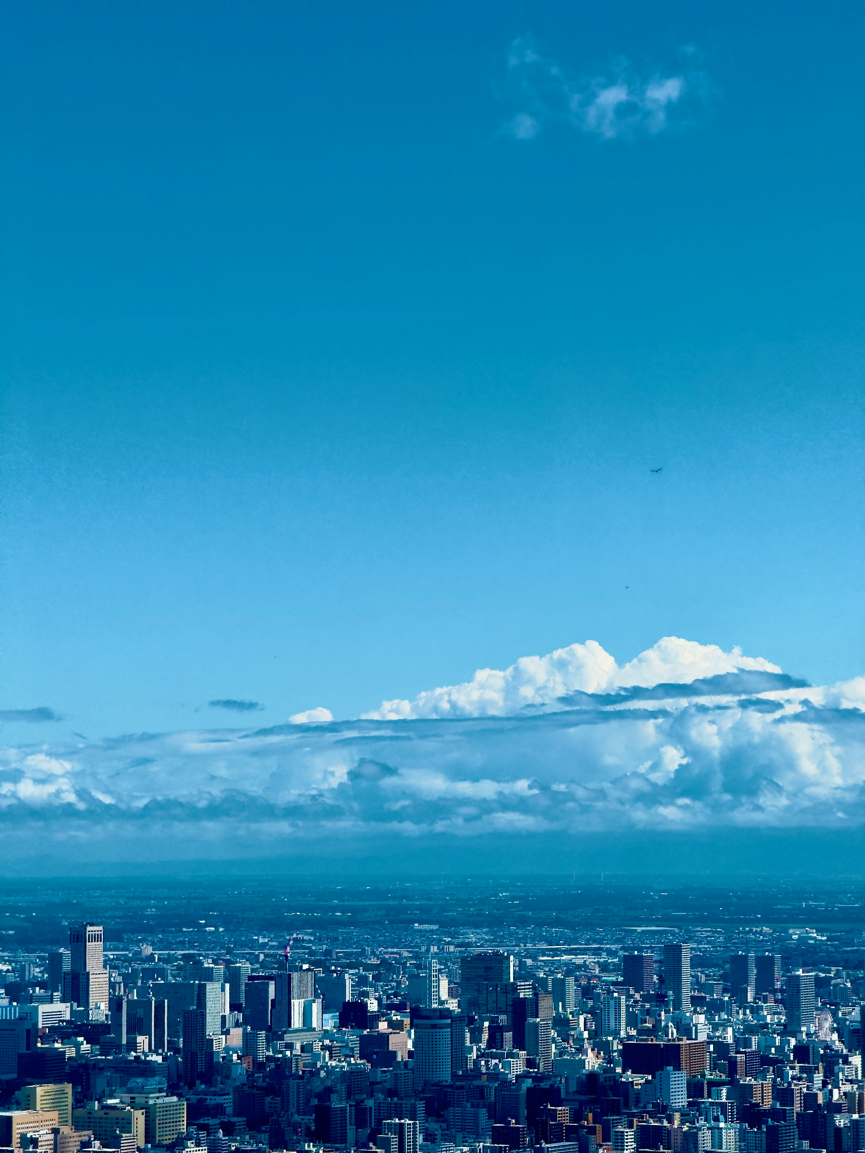 青空の下に広がる都市のスカイライン