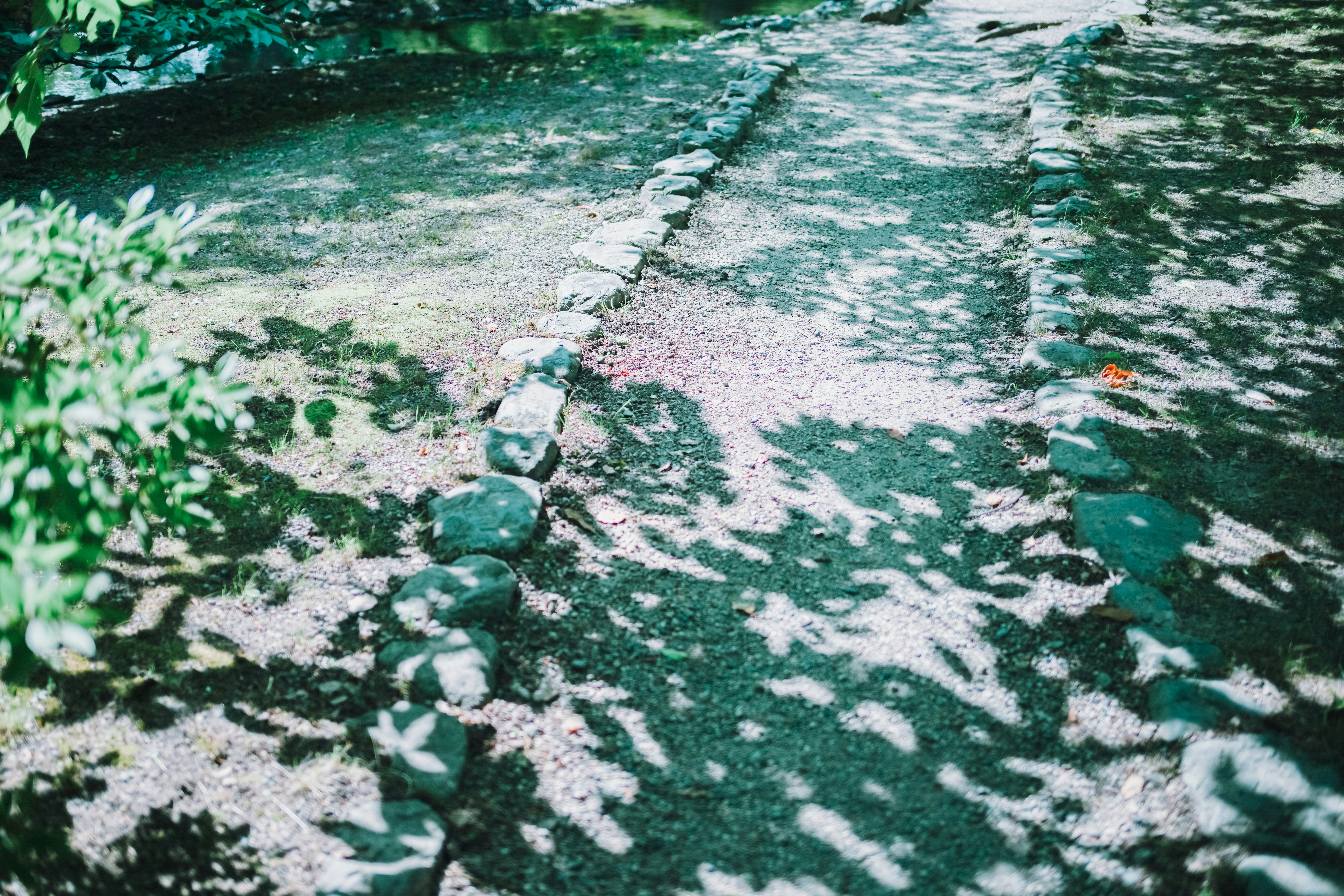 沿岸漂浮著大量垃圾與雜物的河面