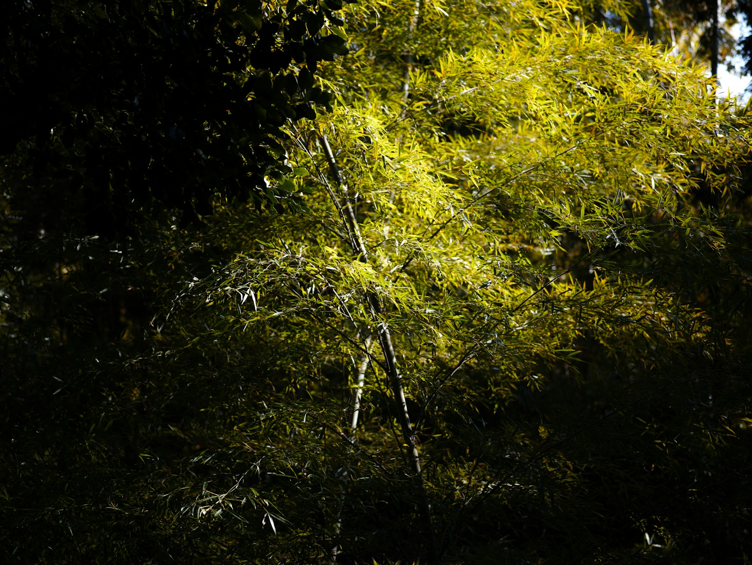 photo-oNubLV10evKkZyS2f4hX-image