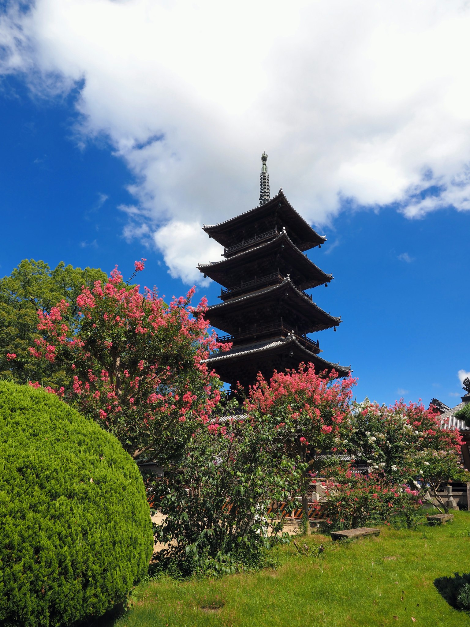 Pagode à cinq étages sous un ciel bleu avec des fleurs en fleurs