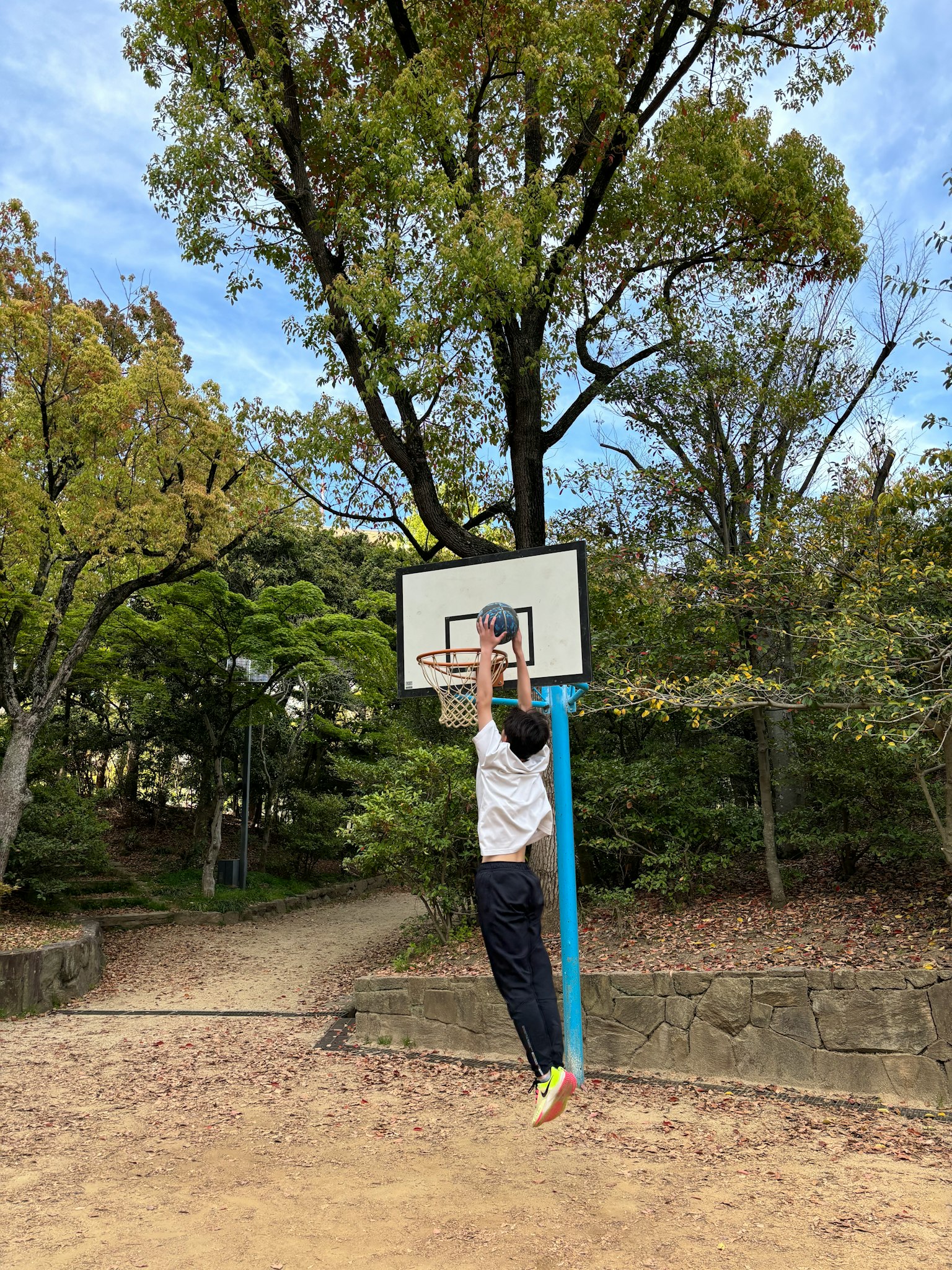 Person springt, um an einem Basketballkorb in einem Park, umgeben von grünen Bäumen, zu dunkeln