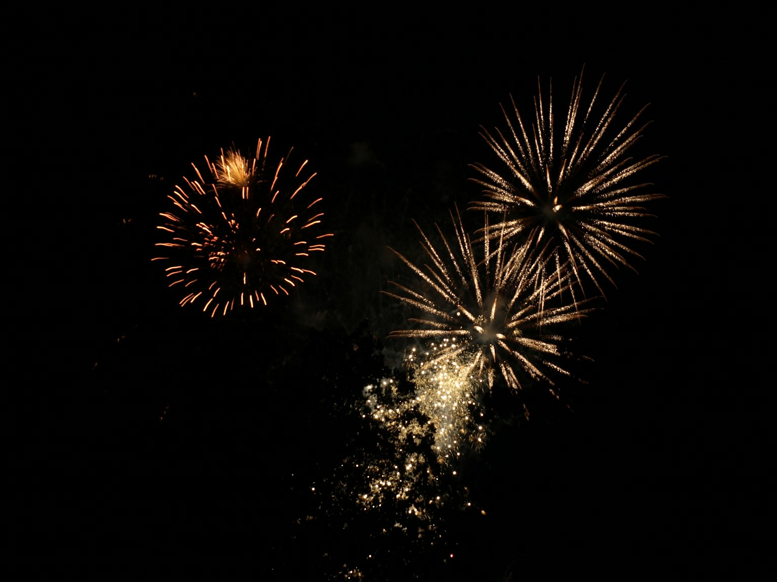 Spettacolo di fuochi d'artificio nel cielo notturno