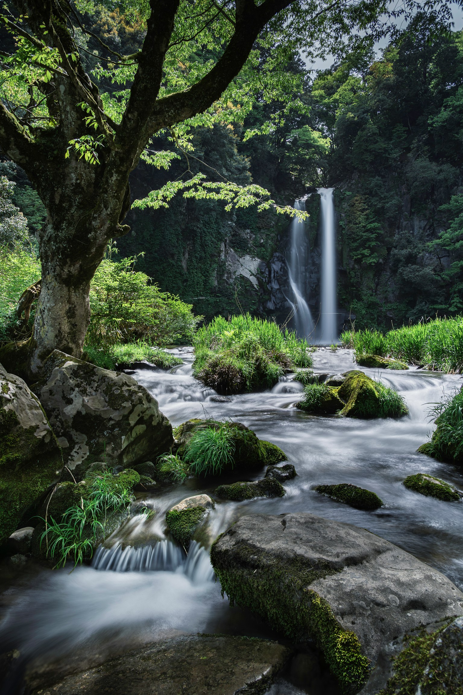 photo-oOh5hs2pMI12SpkAzBwk-image