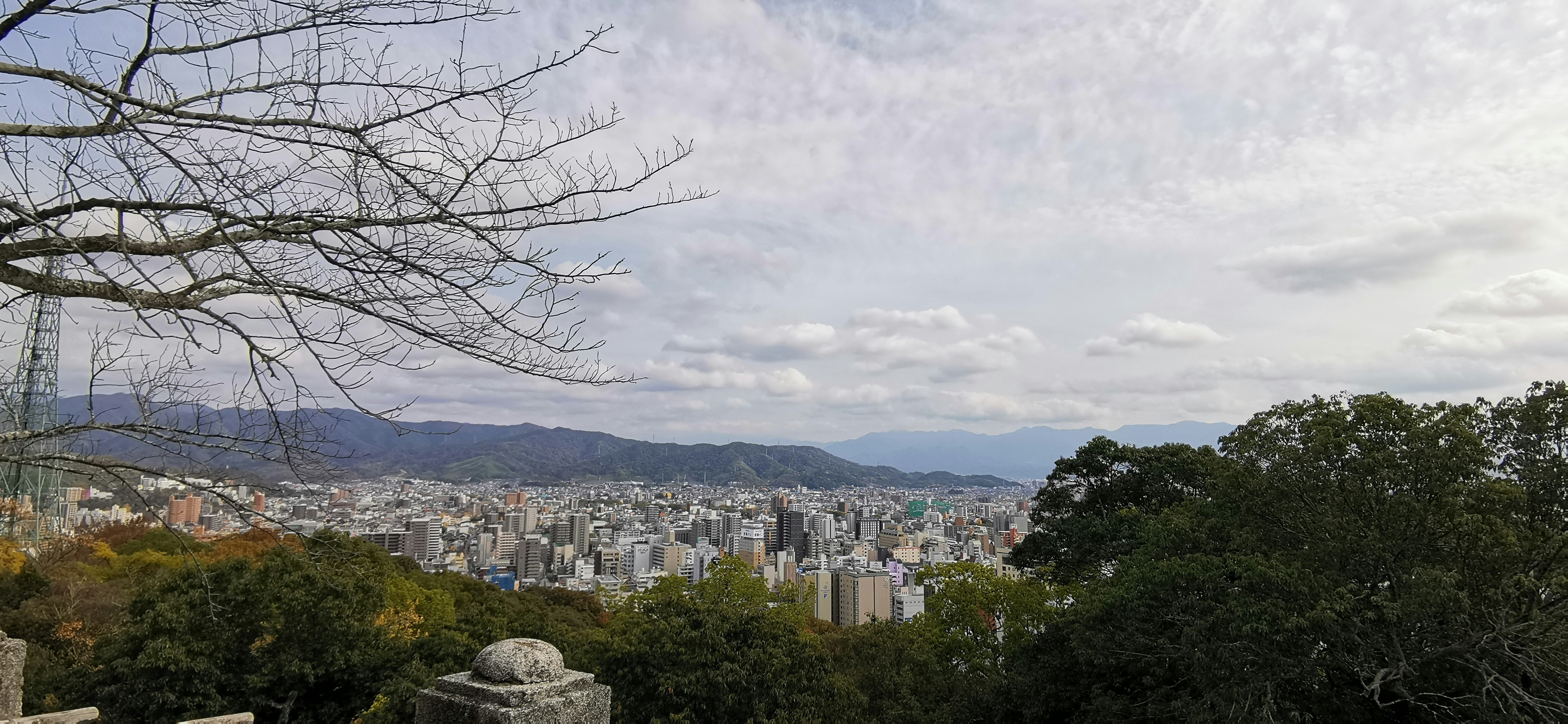 從山坡俯瞰城市天際線與遠處群山