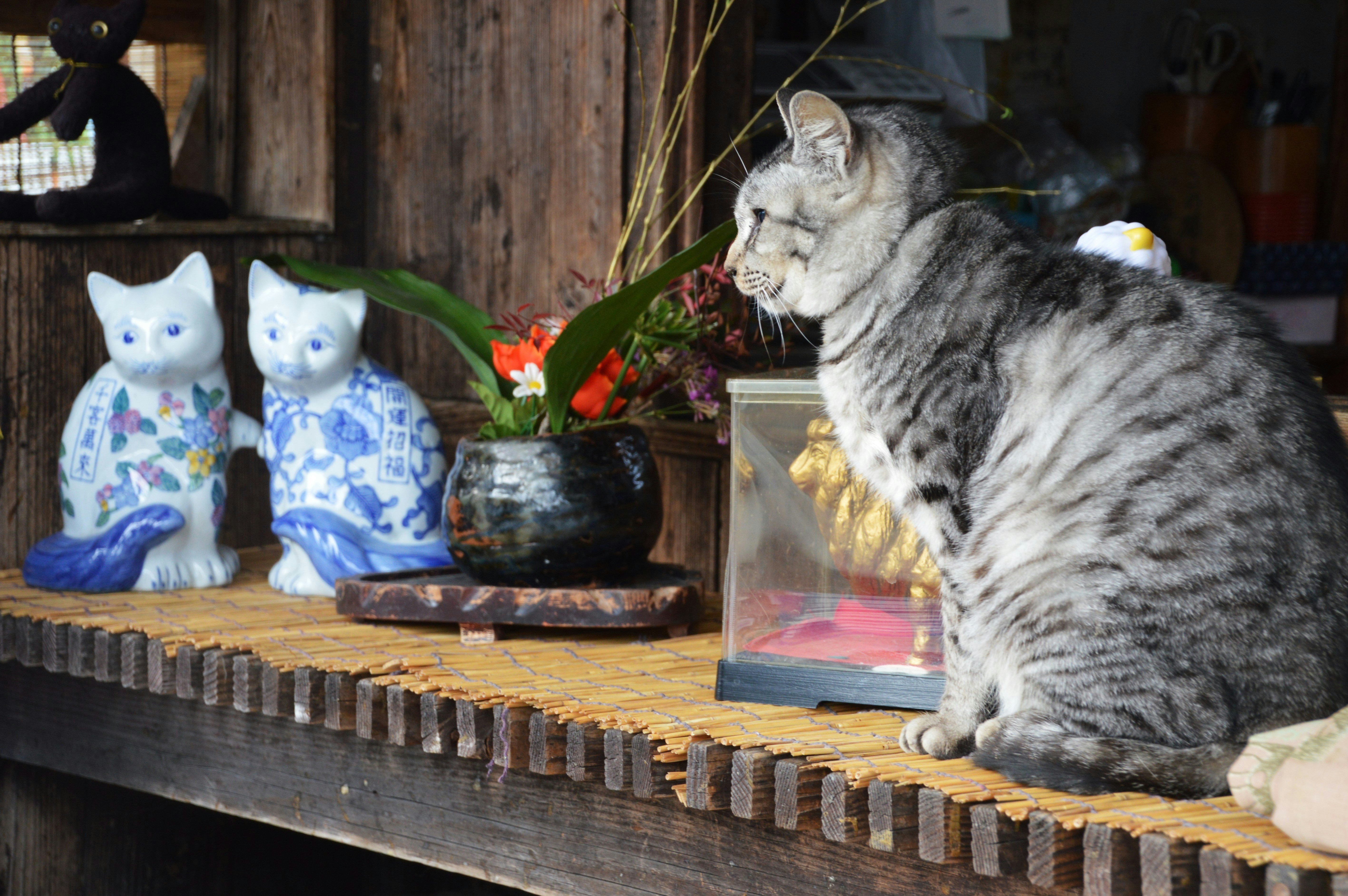 木製の棚に並ぶ猫の置物と花