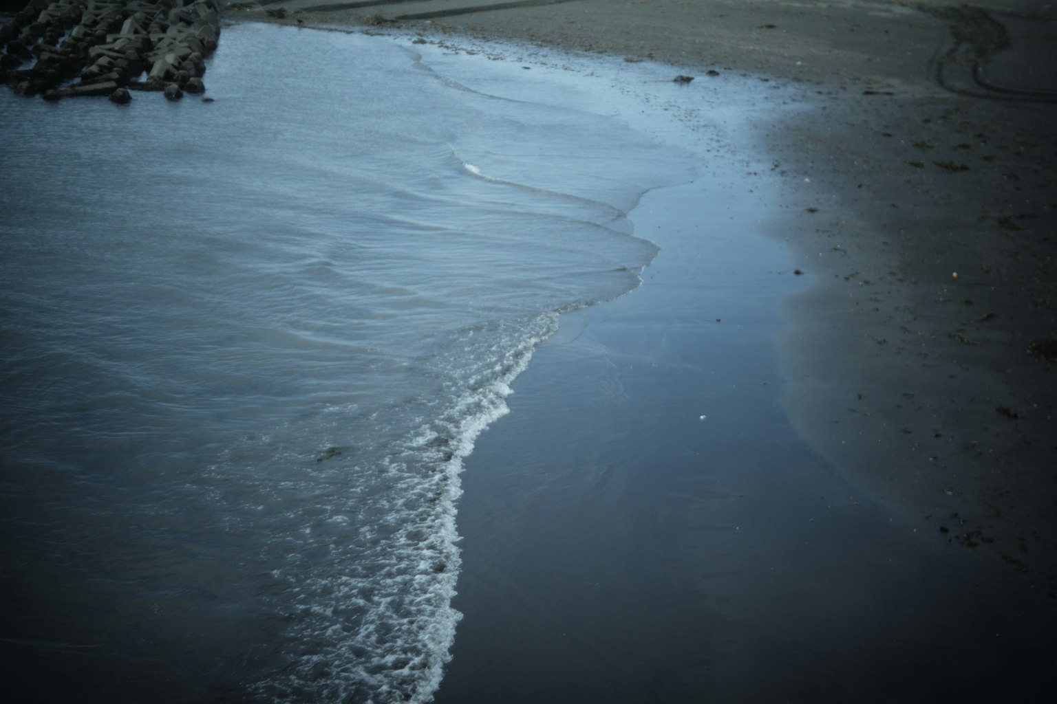 Rivage calme avec des vagues douces réfléchissant la lumière
