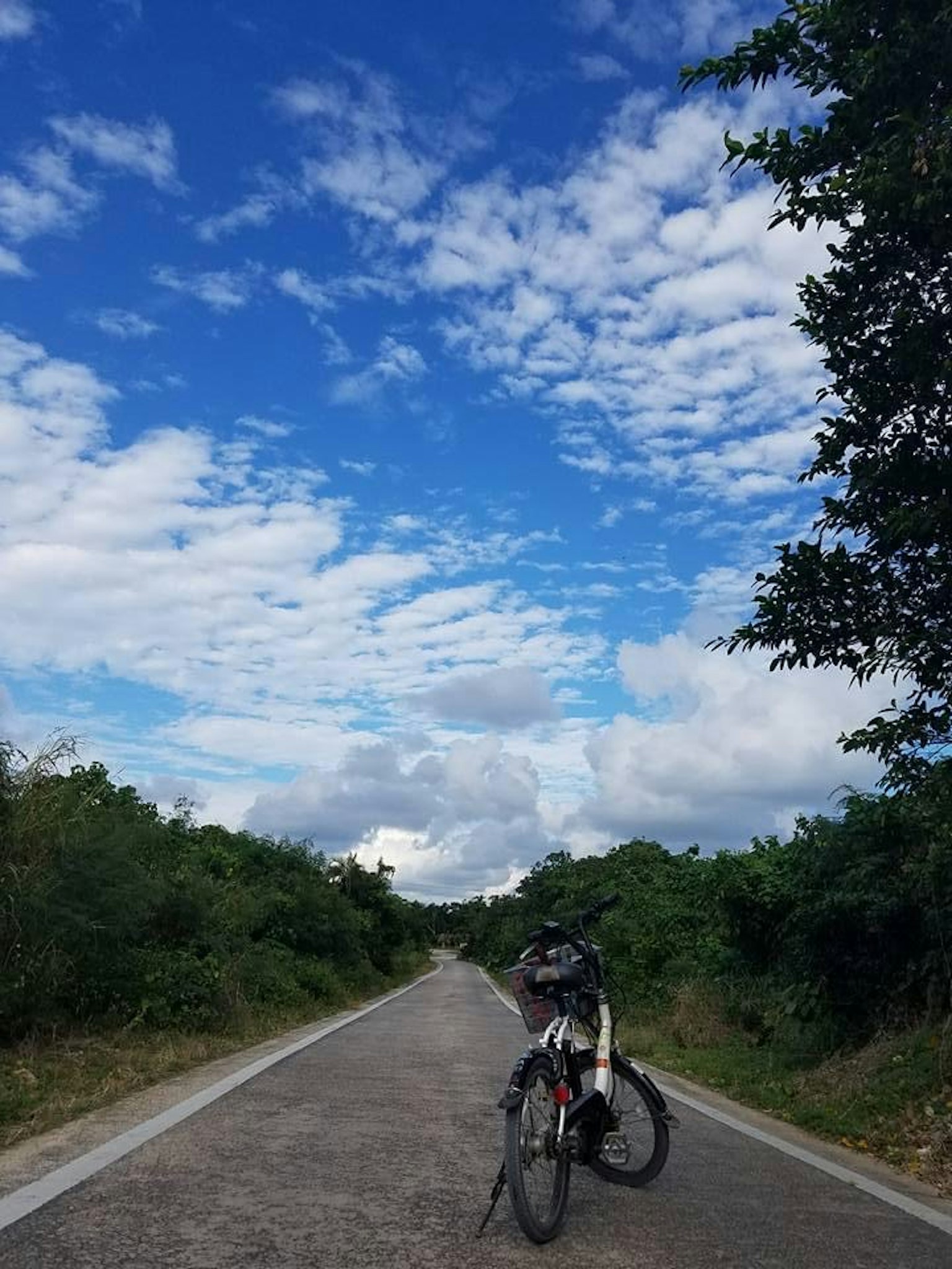 停放在鋪裝道路旁的自行車，藍天白雲