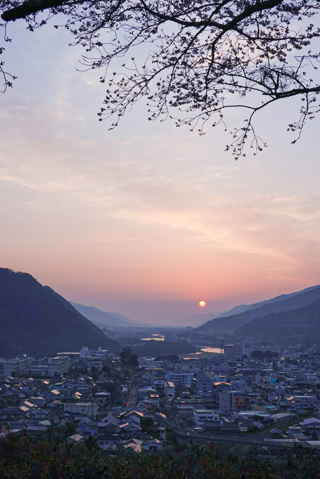 夕暮れの山あいに広がる町並みと桜の枝