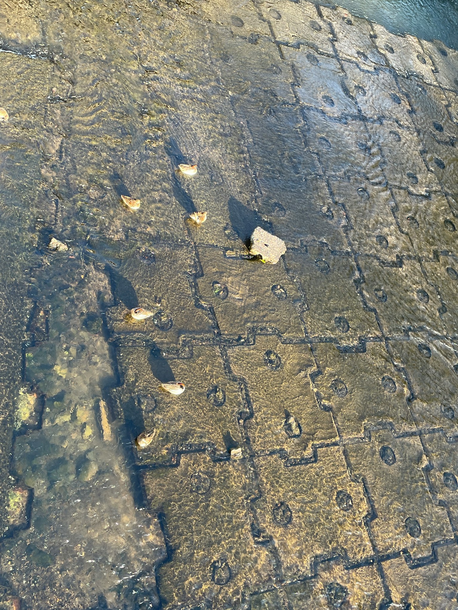 Imagen de una superficie pavimentada con charcos y piedras esparcidas