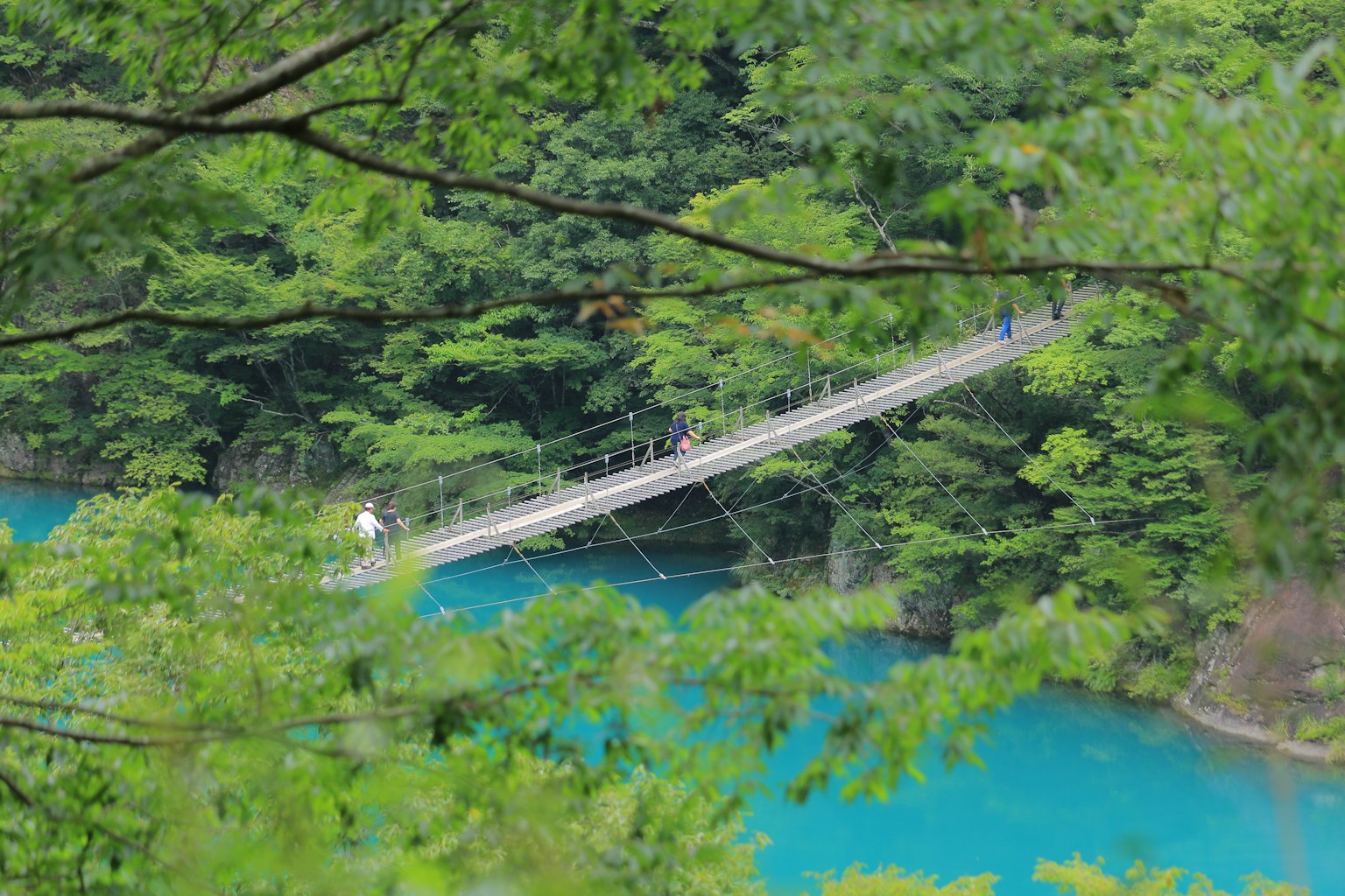 Hängebrücke umgeben von üppigen grünen Bäumen und türkisfarbenem Wasser