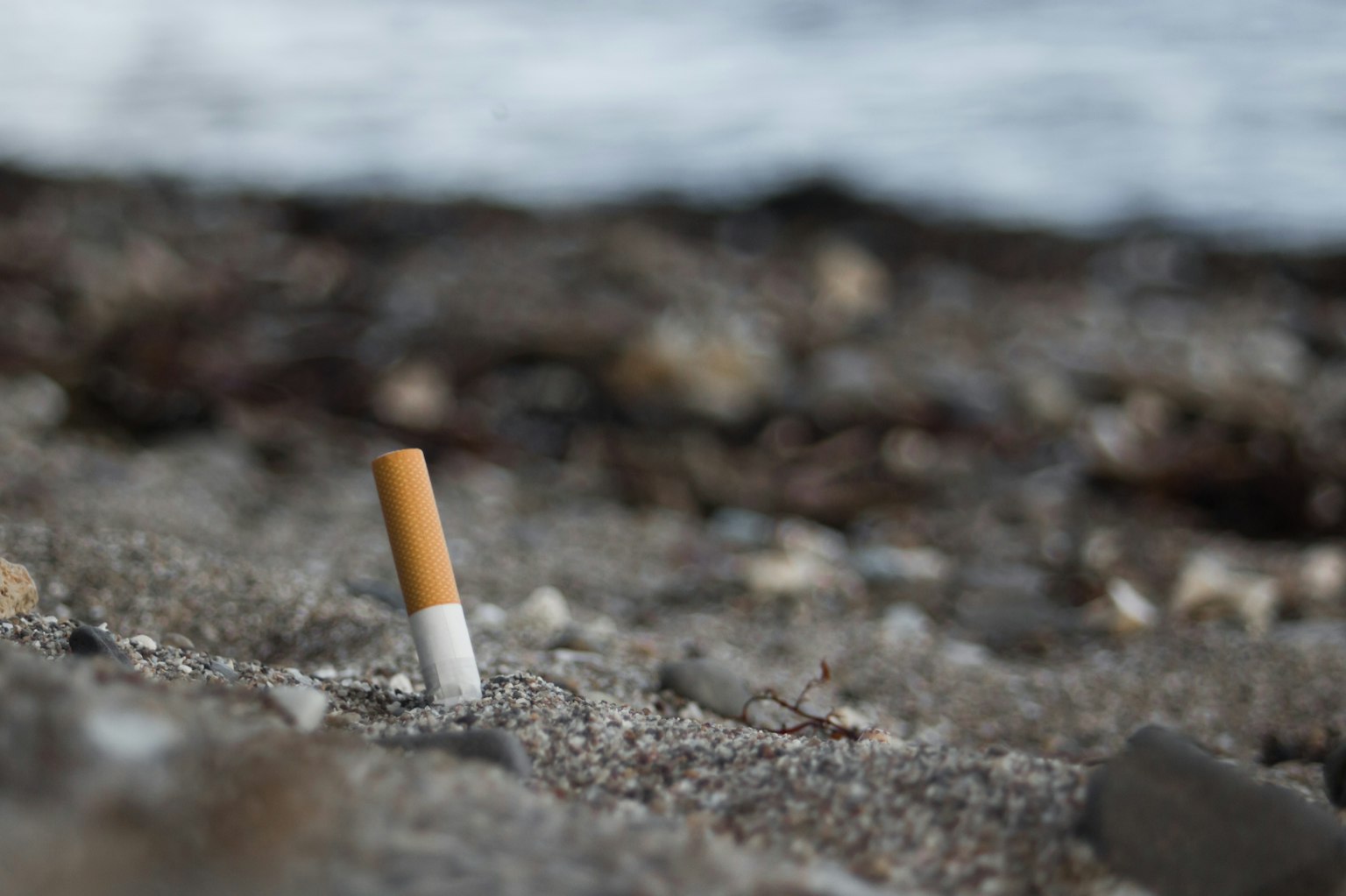 Cigarette butt stuck in the sand with ocean background
