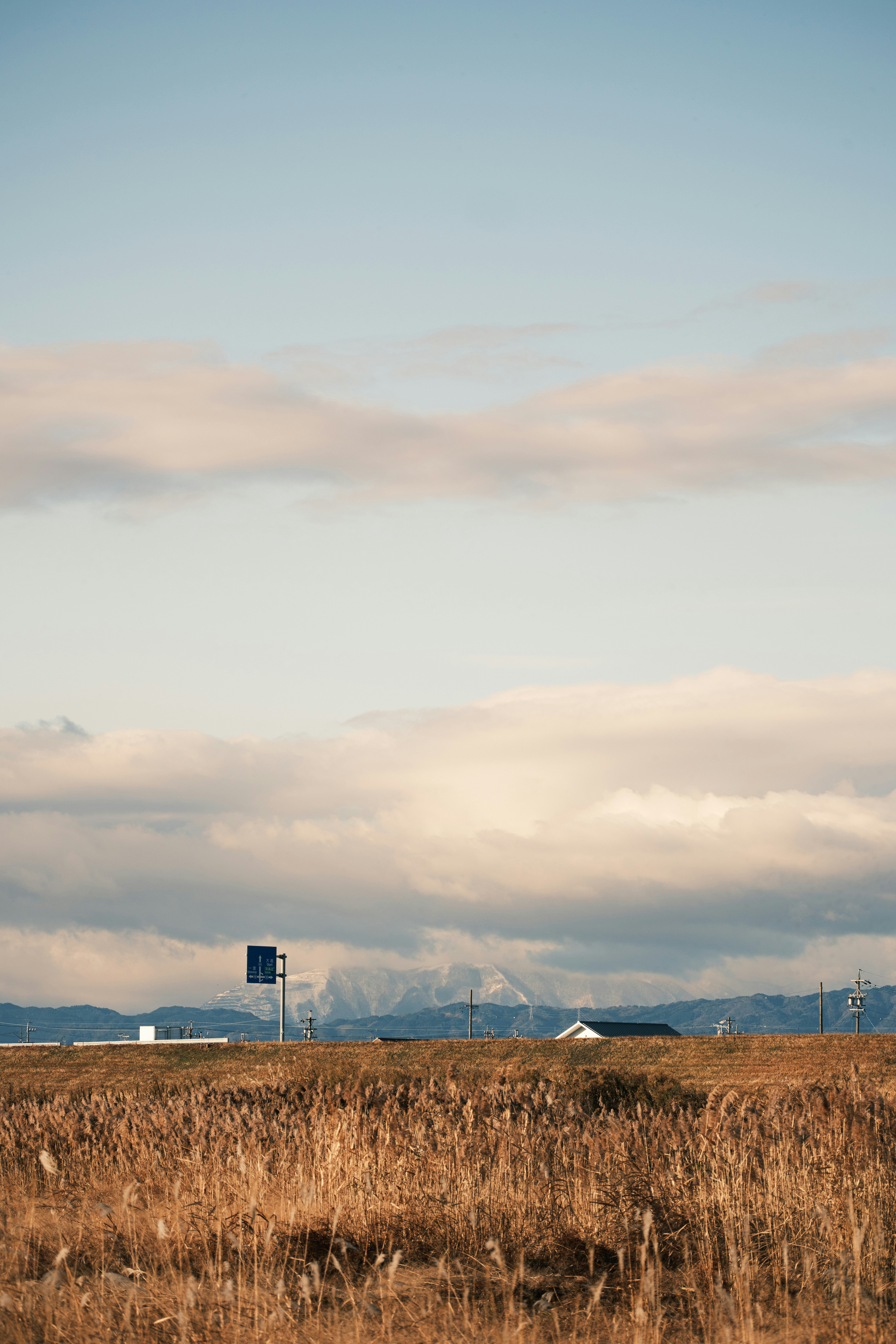 Dried grass field with an expansive cloudy sky