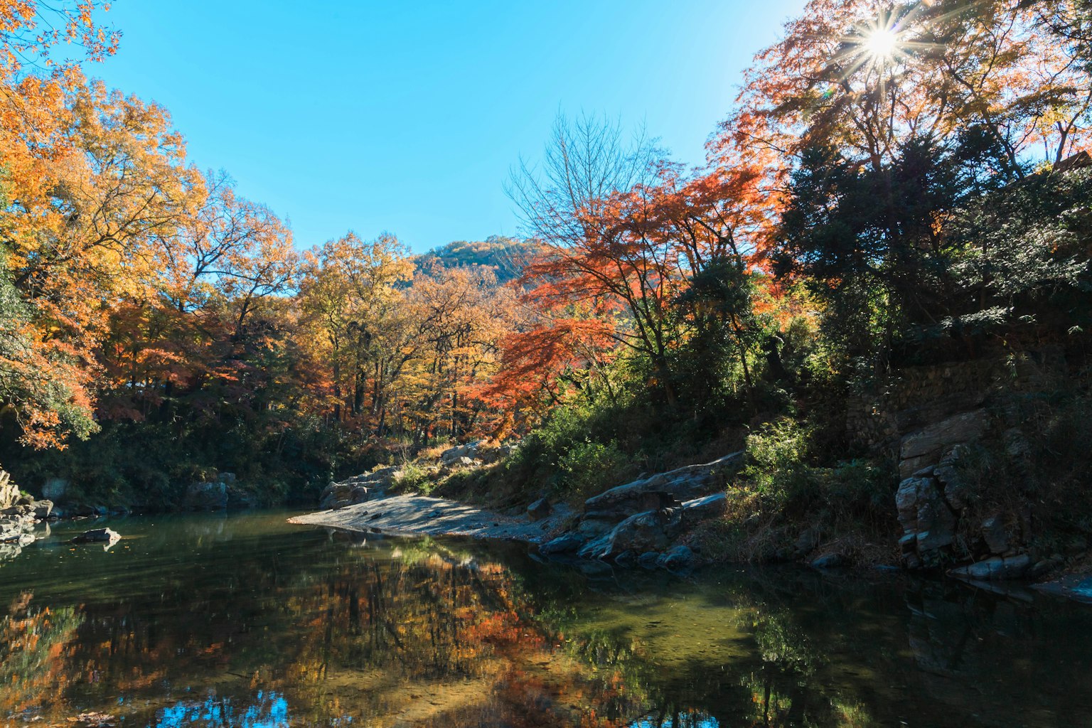青空と紅葉の木々が映る静かな川の風景