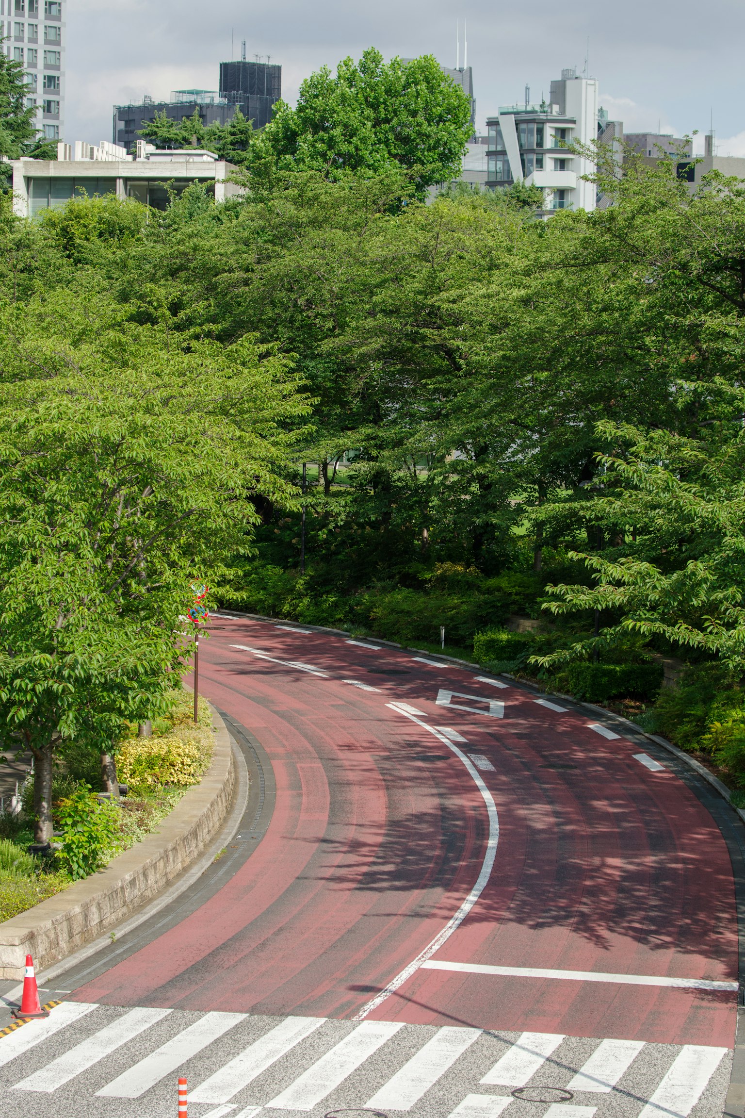 被绿树环绕的弯曲道路和人行横道