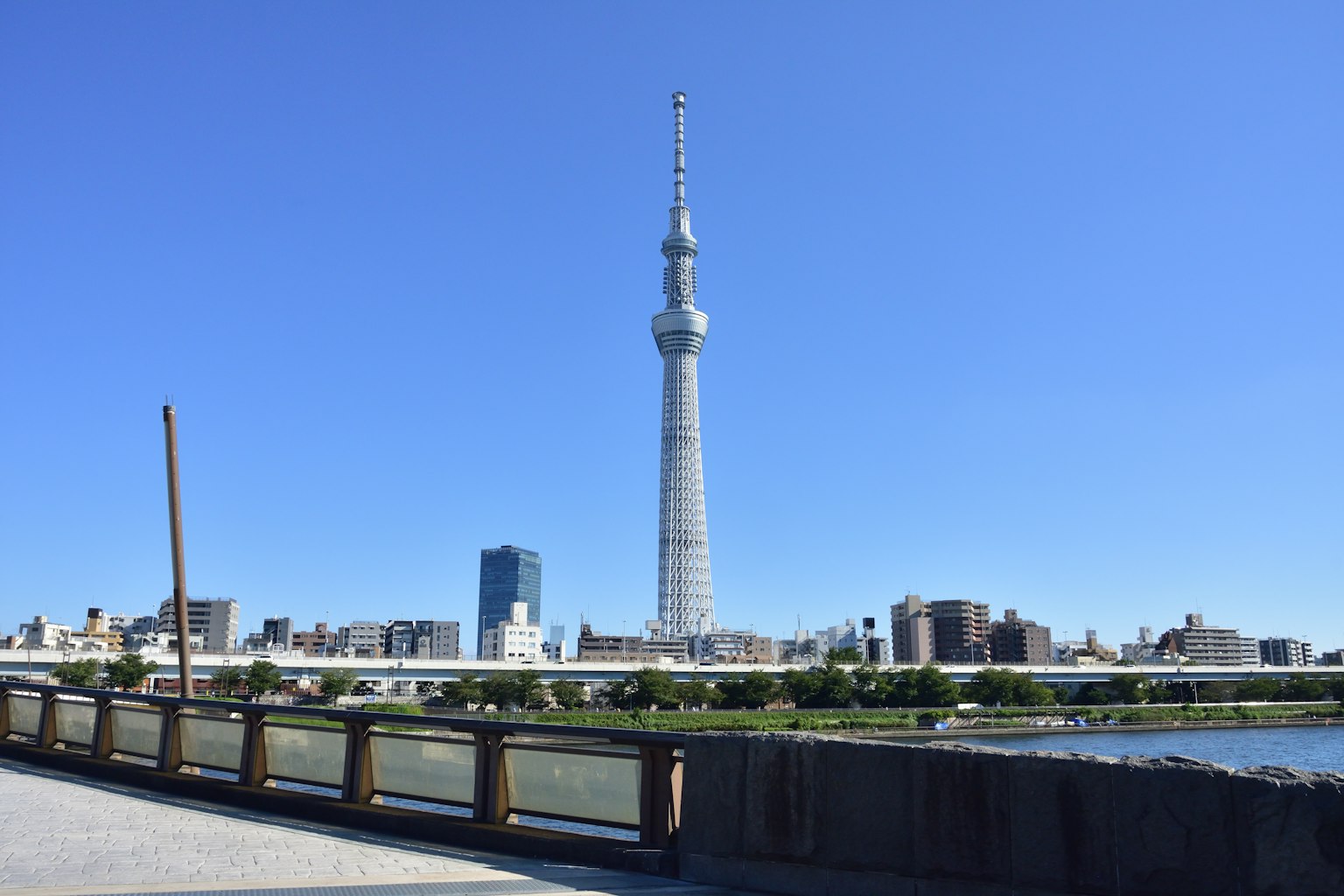 Tokyo Skytree che svetta sulla città sotto un cielo azzurro