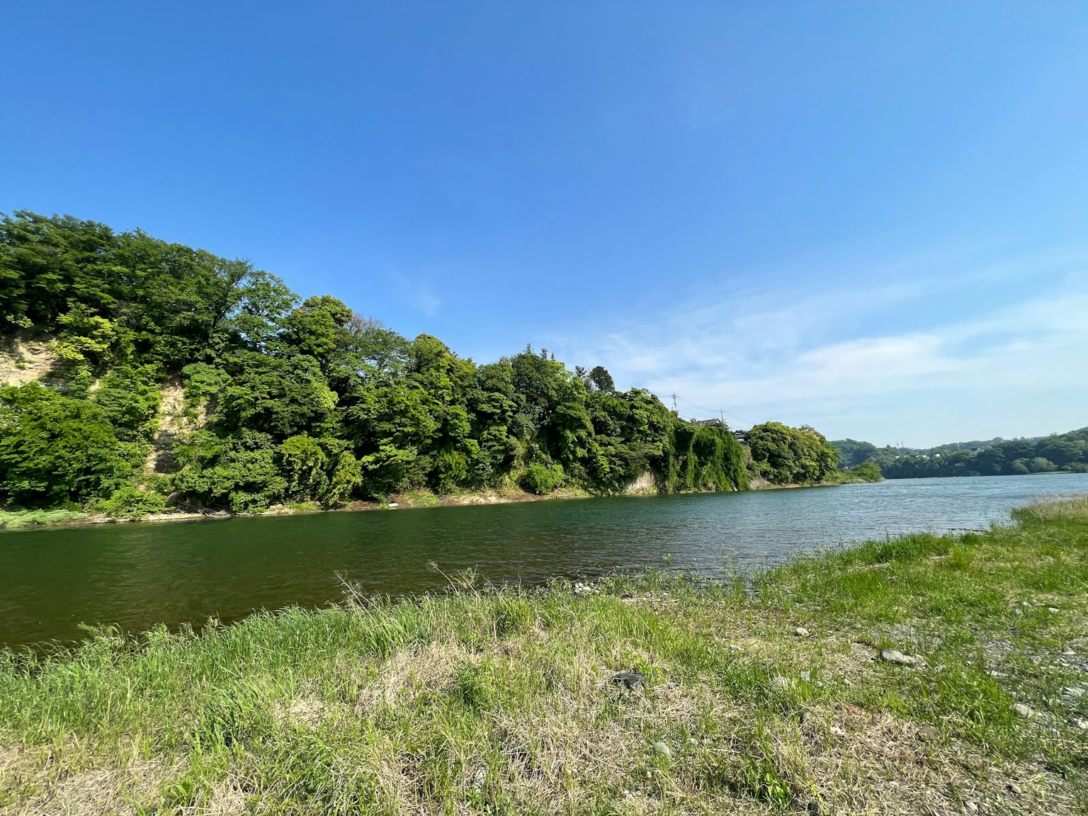 Vista escénica del río con vegetación exuberante y cielo azul