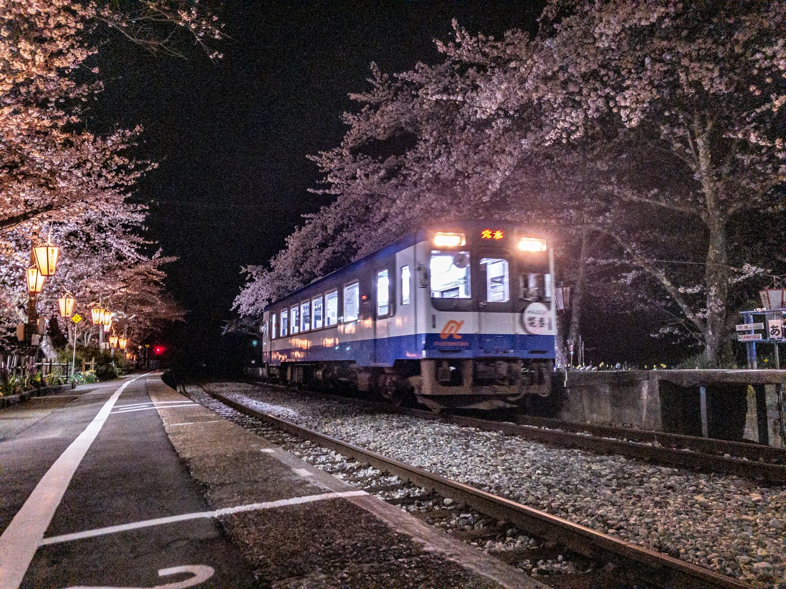 Blauer Zug, der nachts unter Kirschblüten fährt