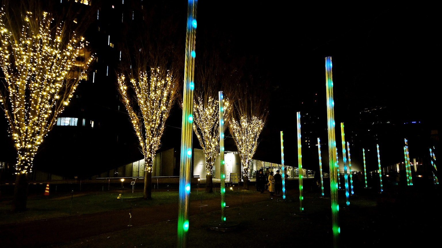 Arbres illuminés et poteaux colorés dans un parc la nuit