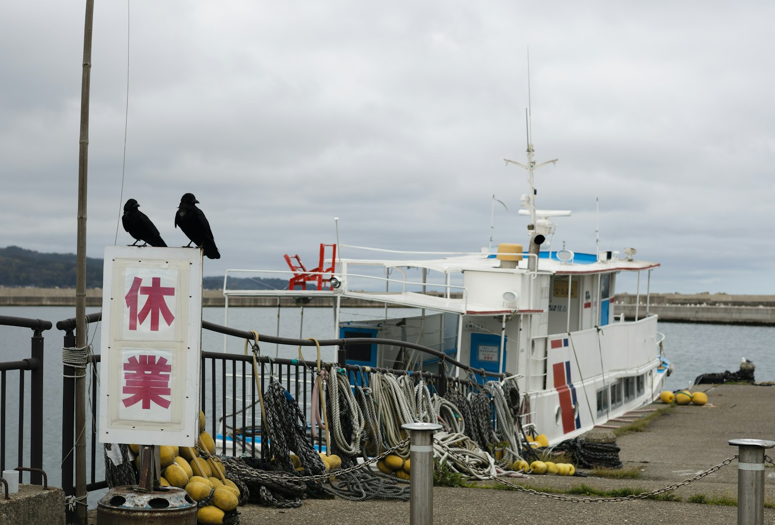 Ein weißes Boot im Hafen mit einem geschlossenen Schild und zwei Krähen in der Nähe